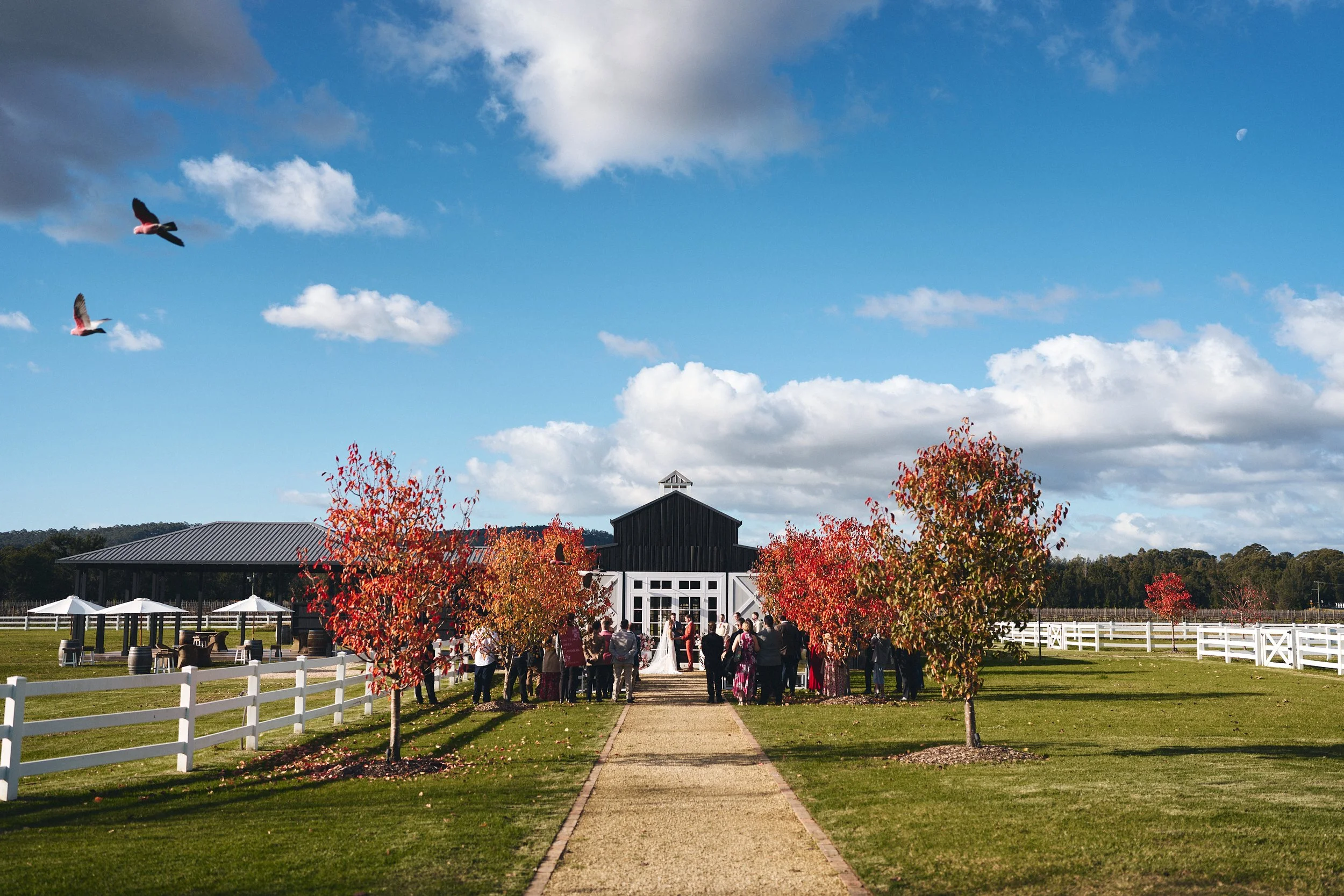 Cassandra & Asher | Dark Horse Vineyard