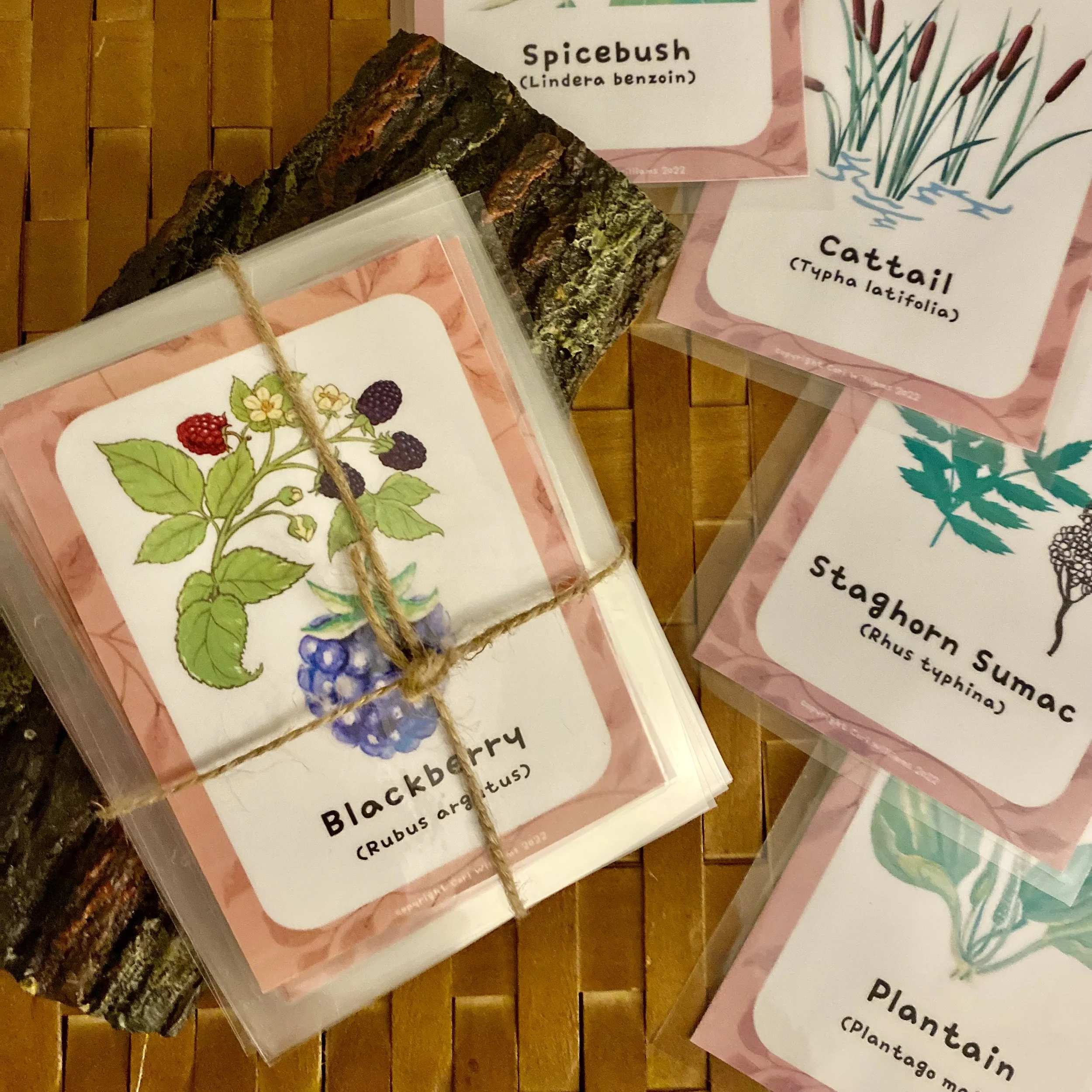 Foraging Cards