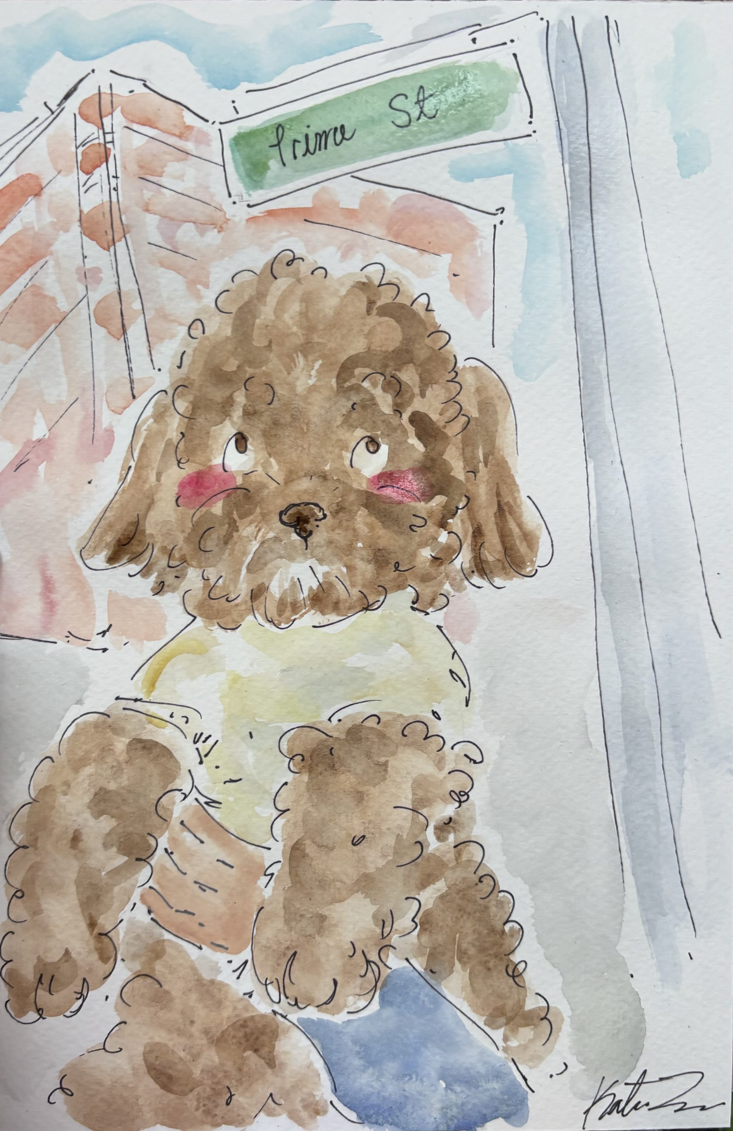 dog.jpg