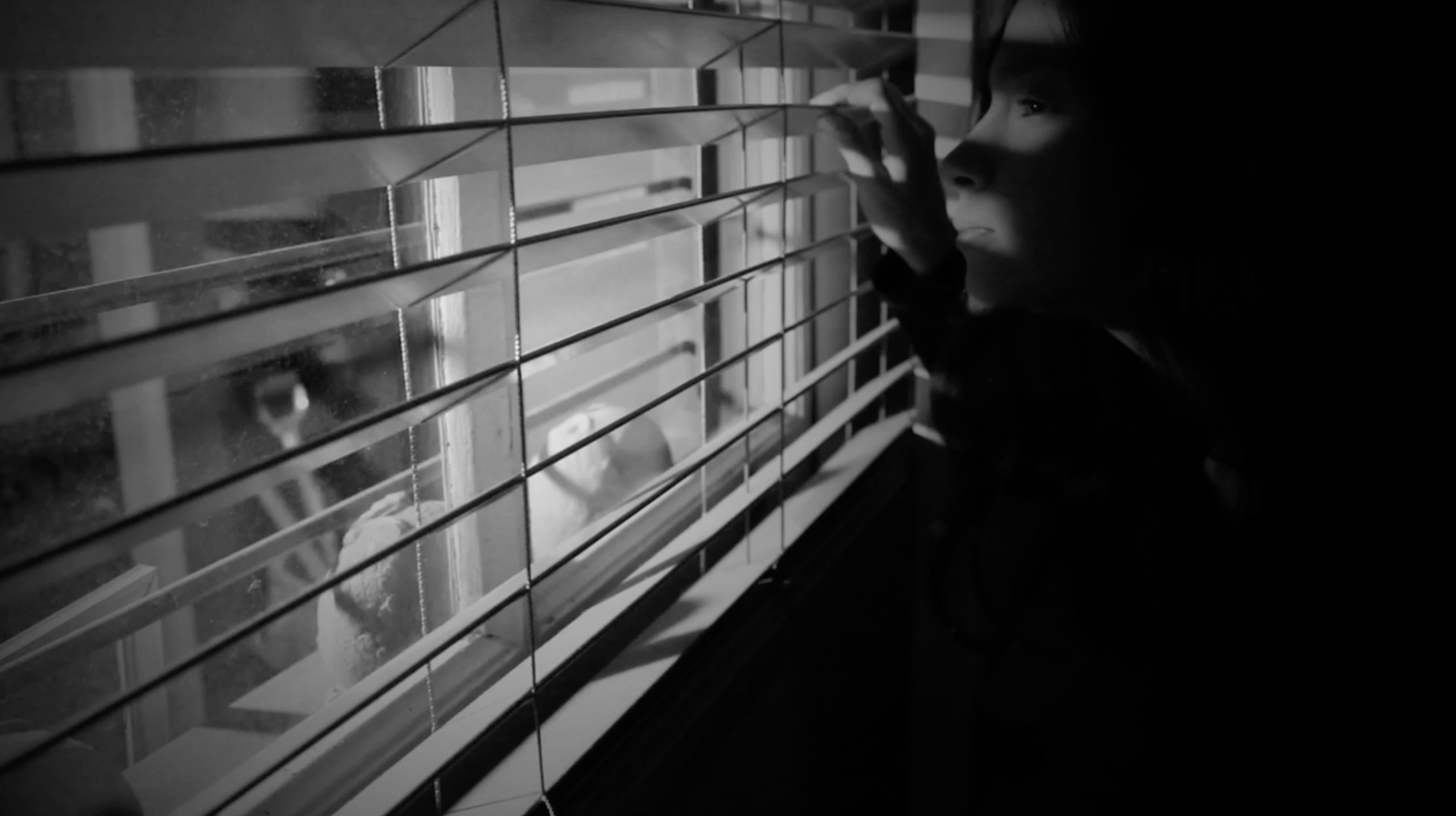 The Juvenile Pursuit (2016)
