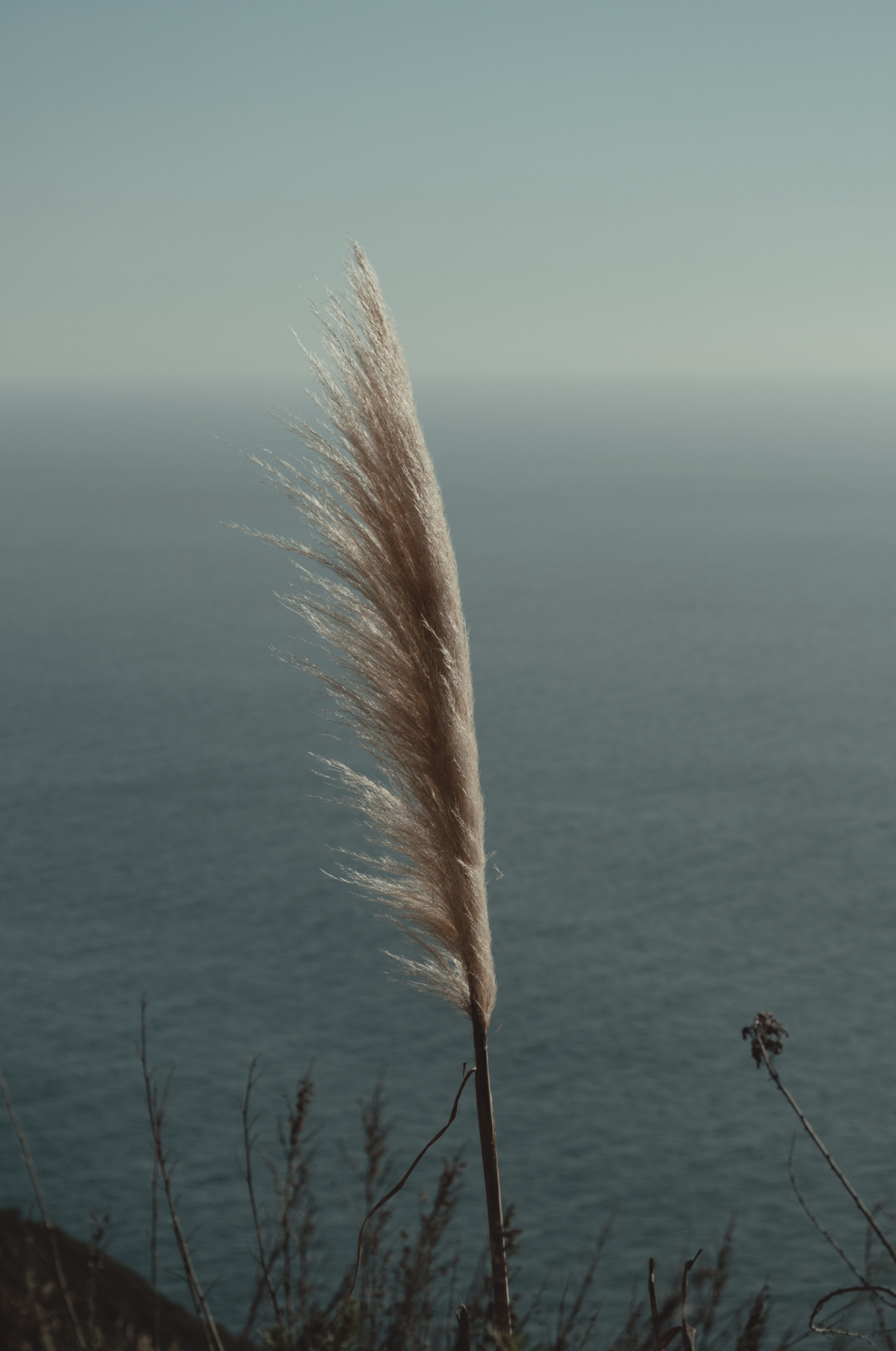 Screenshot 2024-08-13 at 10.45.20 PM.png