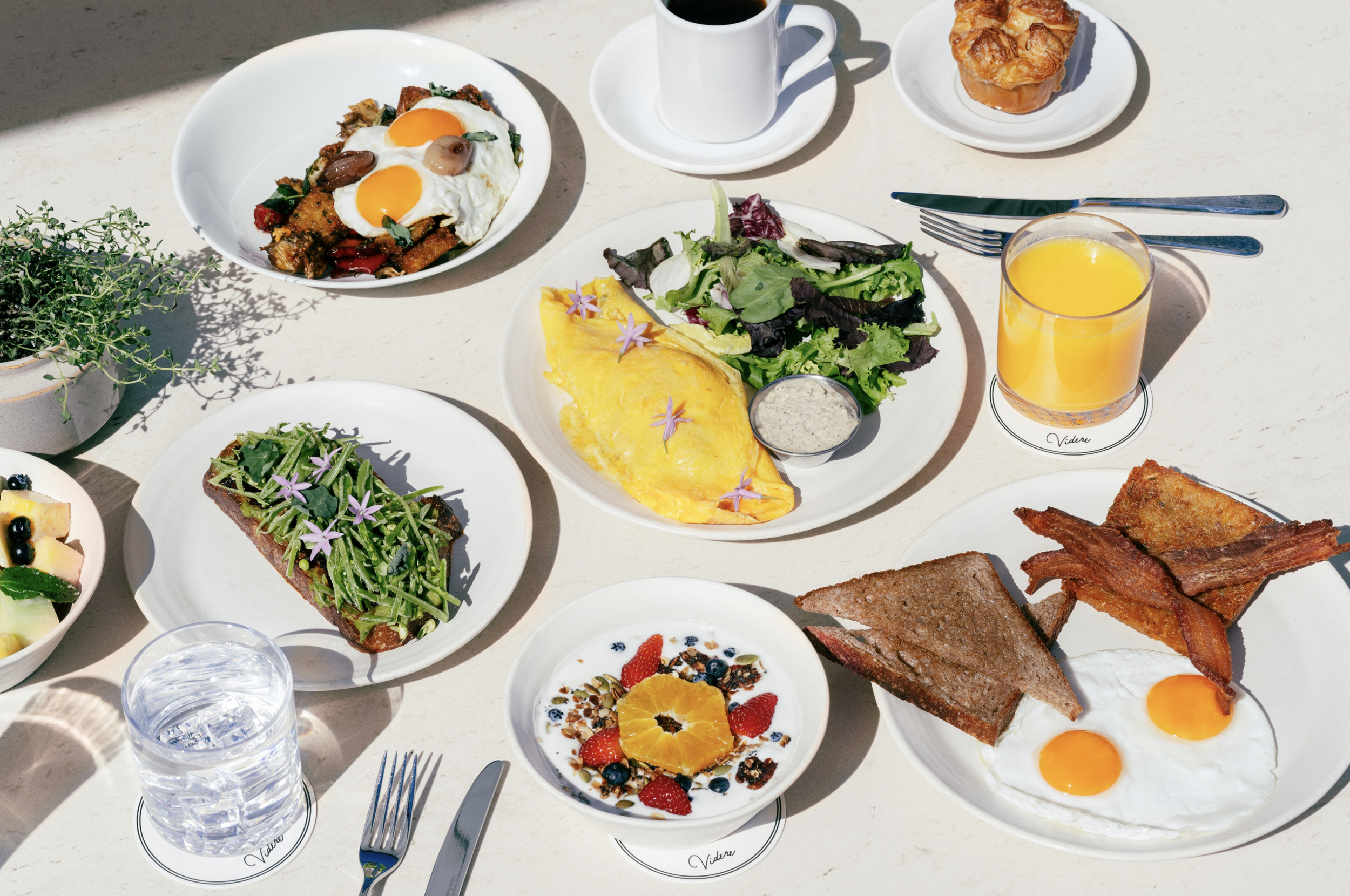 Screenshot 2024-08-15 at 10.33.38 AM.png