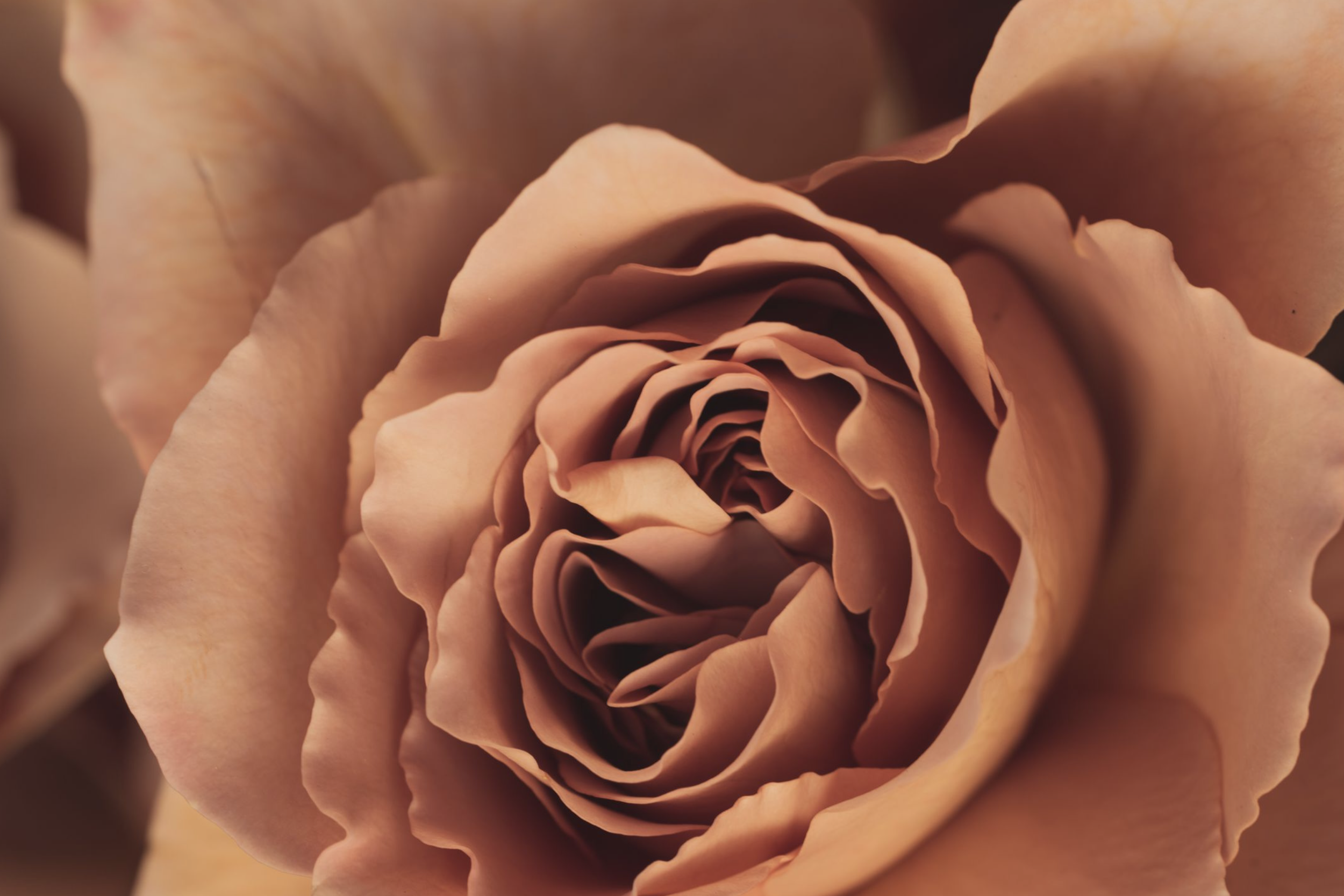 Screenshot 2024-08-22 at 6.21.16 PM.png