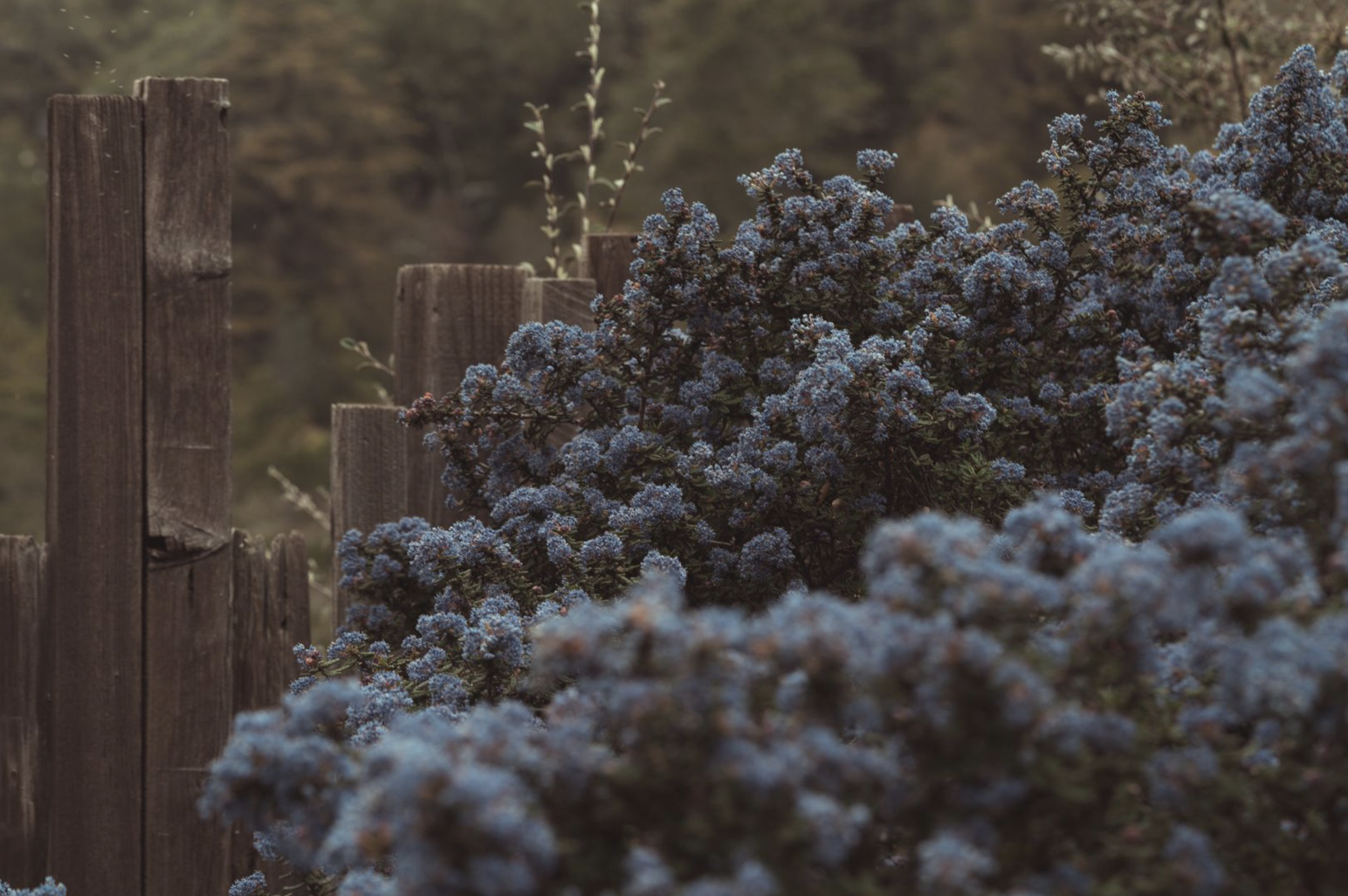 Screenshot 2024-08-13 at 10.44.33 PM.png