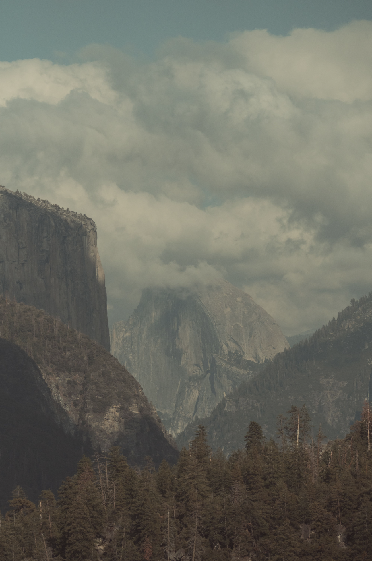 Screenshot 2024-08-14 at 1.16.17 AM.png