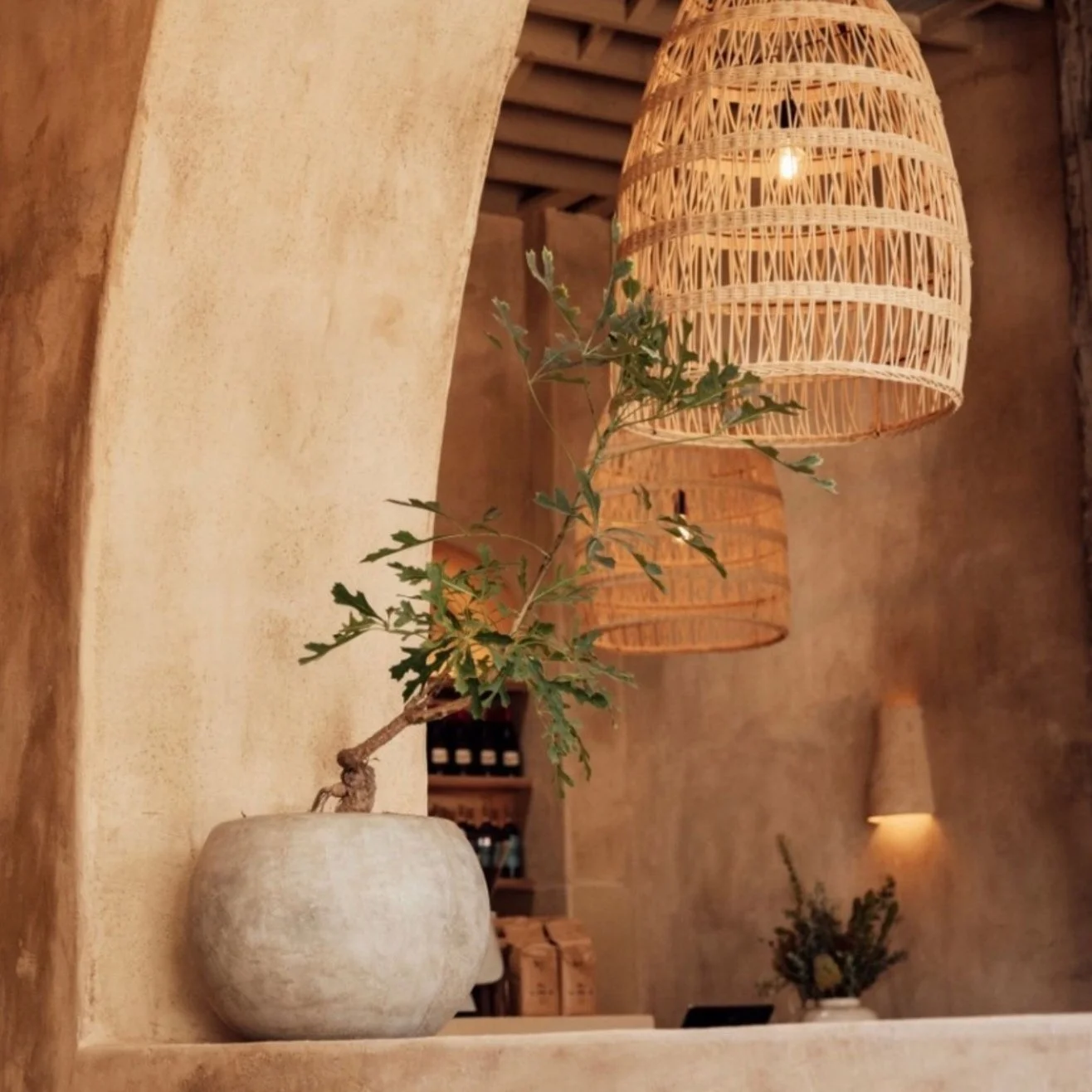 Screenshot 2024-08-15 at 1.52.18 AM.jpg