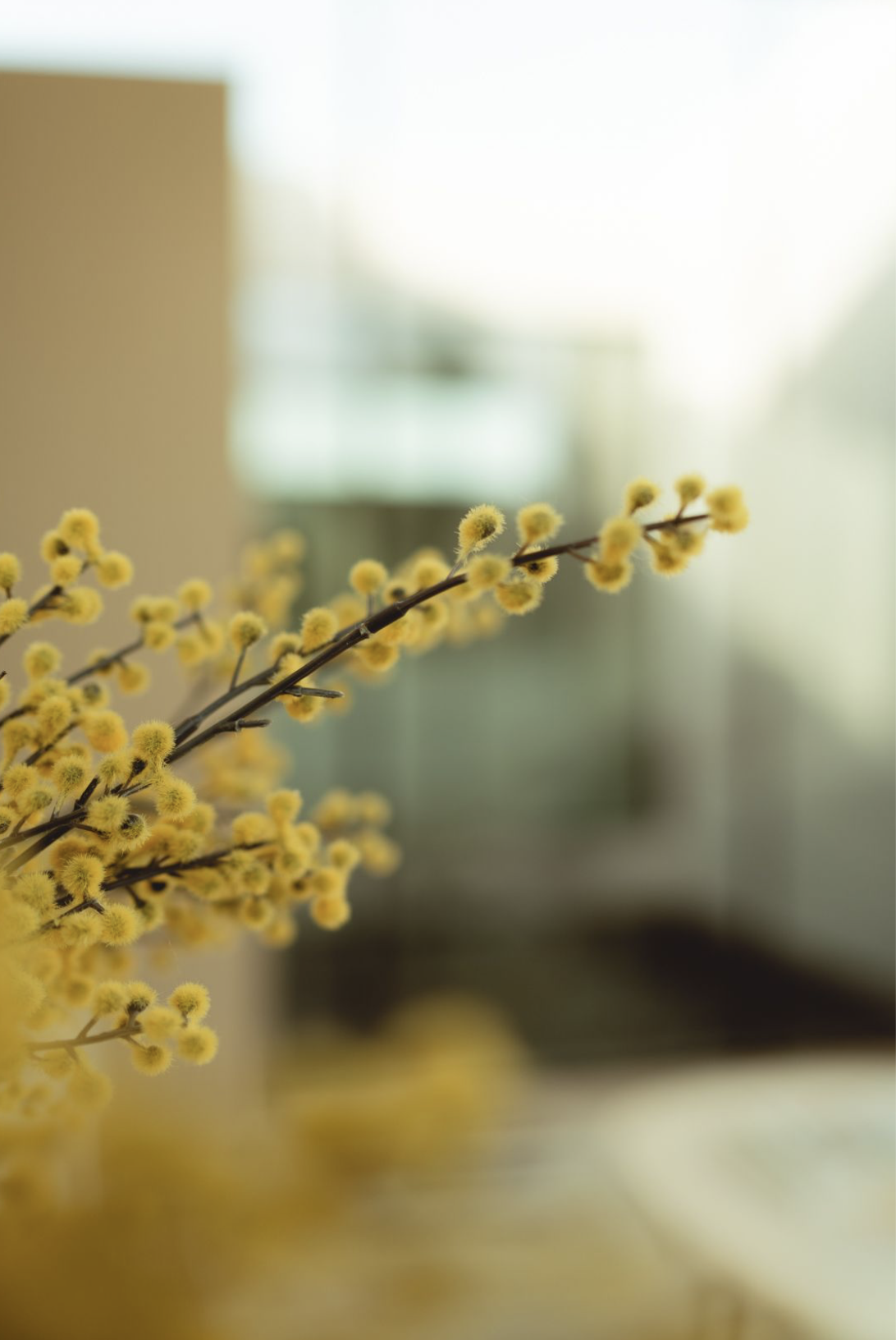 Screenshot 2024-12-07 at 2.04.04 AM.png