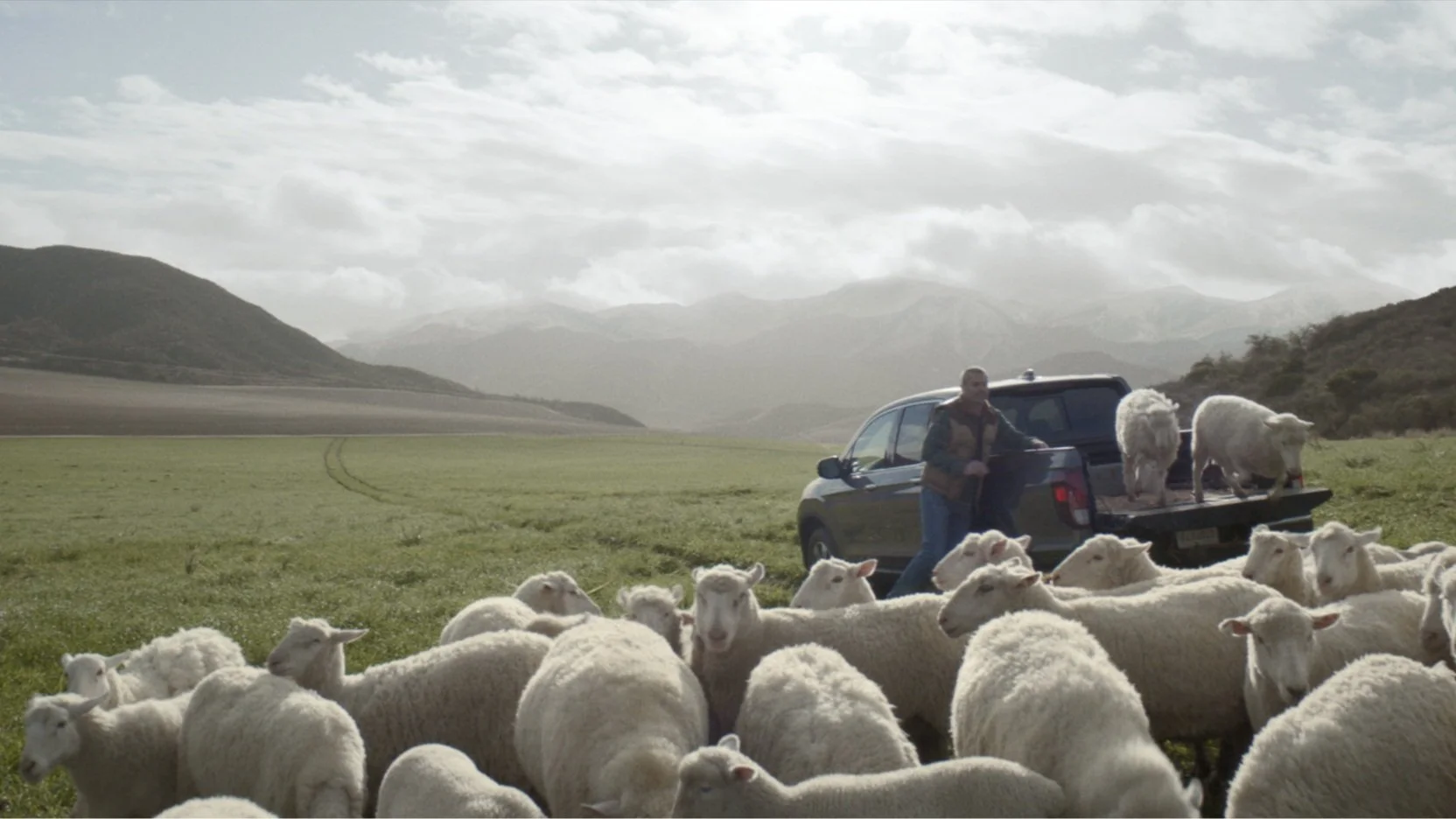 Screenshot 2025-02-09 at 8.33.14 PM.jpg