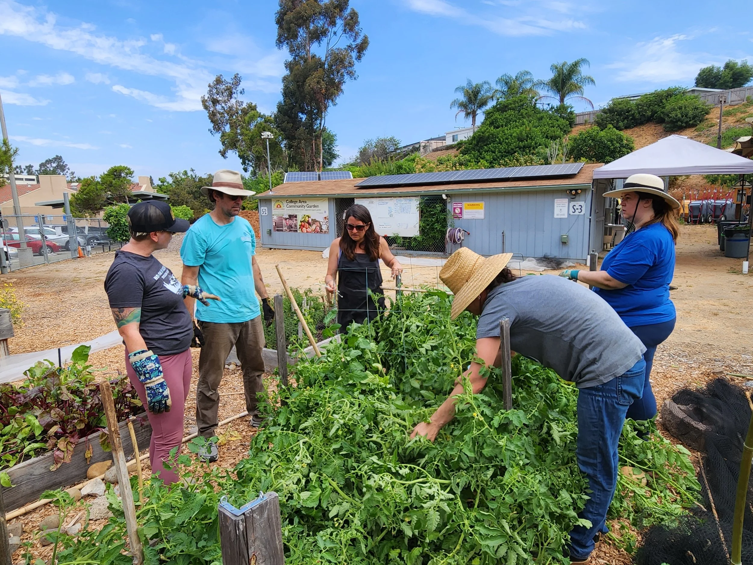 Volunteer Work Day