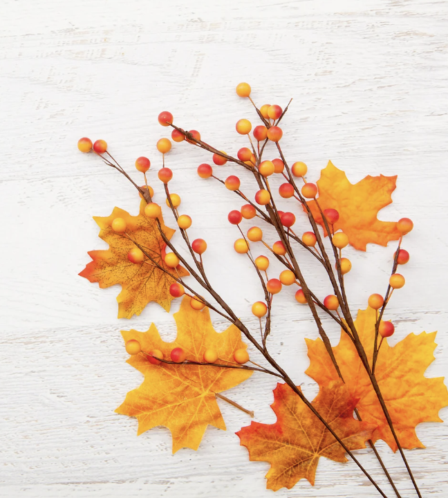 Happy Thanksgiving from Electric Arts Dental Lab