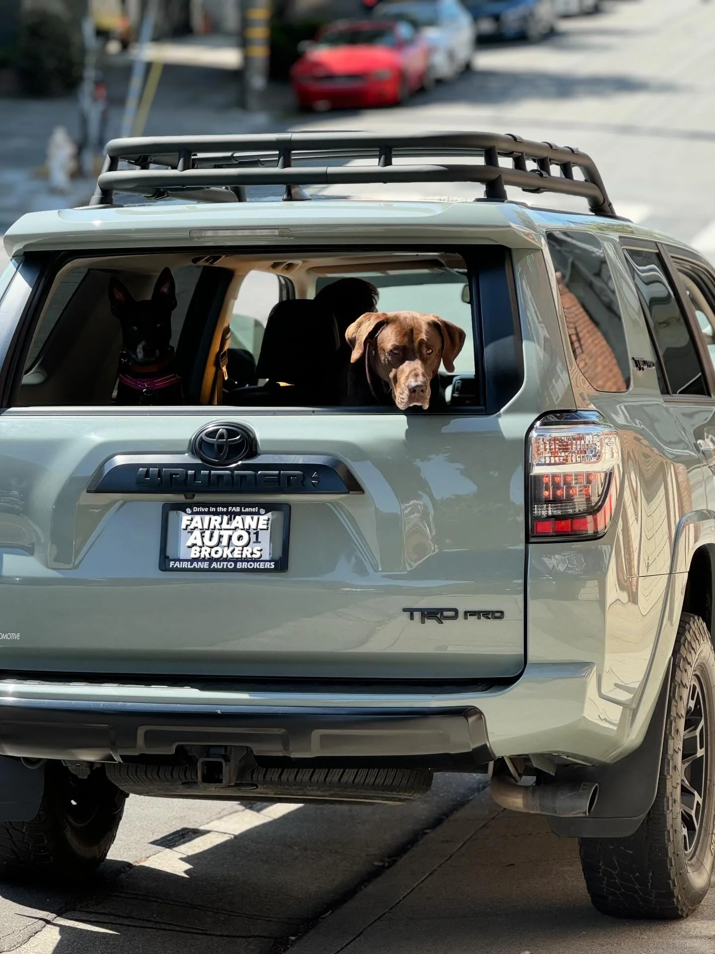 It looks like the pups give their seal of approval! After an extensive search for the ideal Toyota 4Runner TRD Pro&mdash;one that could comfortably accommodate the dogs&mdash;our clients have found the perfect match. This rugged SUV, finished in the 