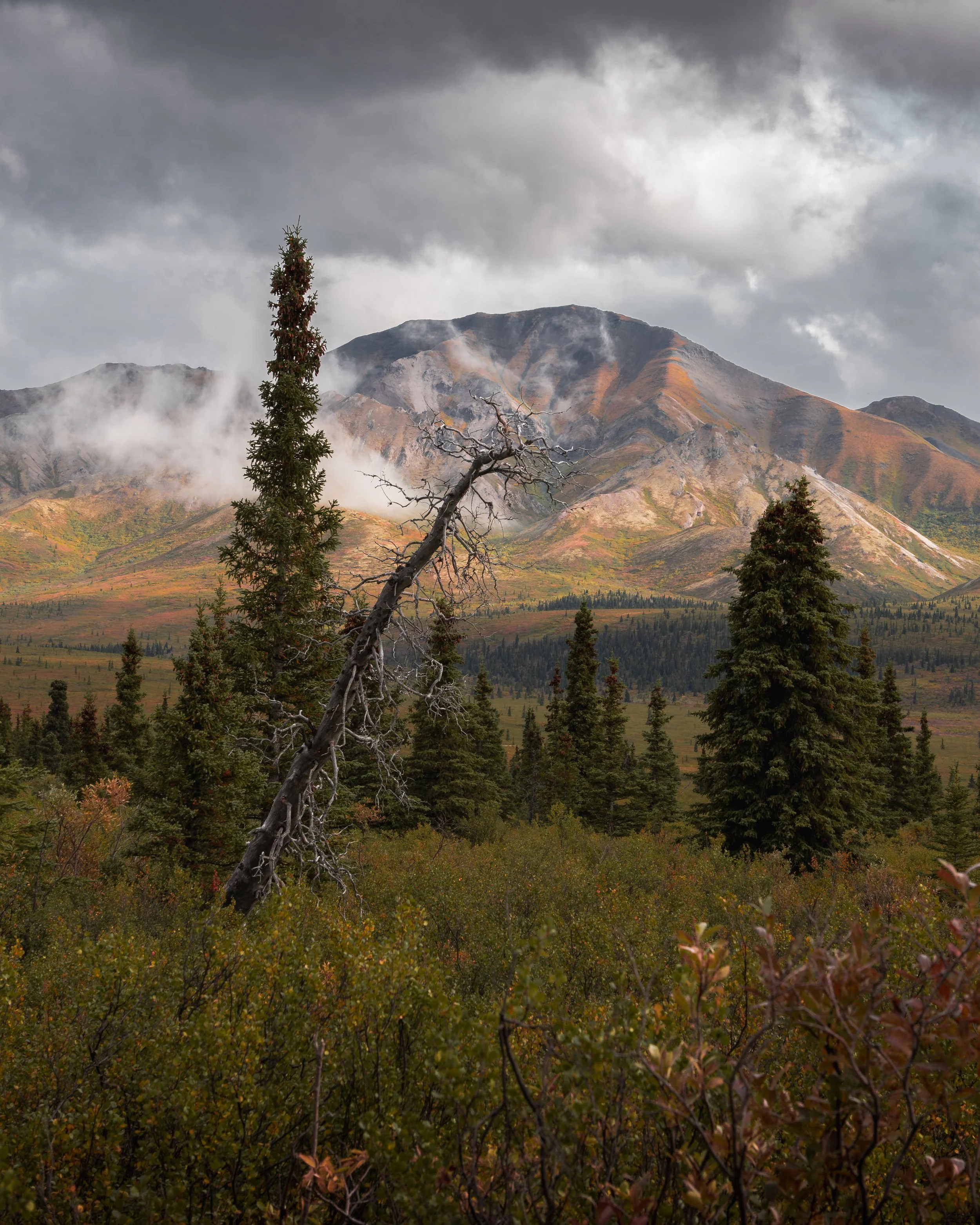 Landscape & Nightscape