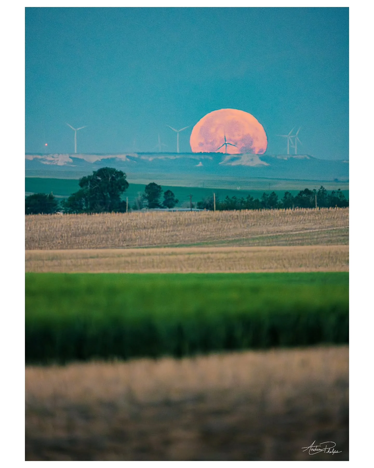 Fly me to the moon 🌙