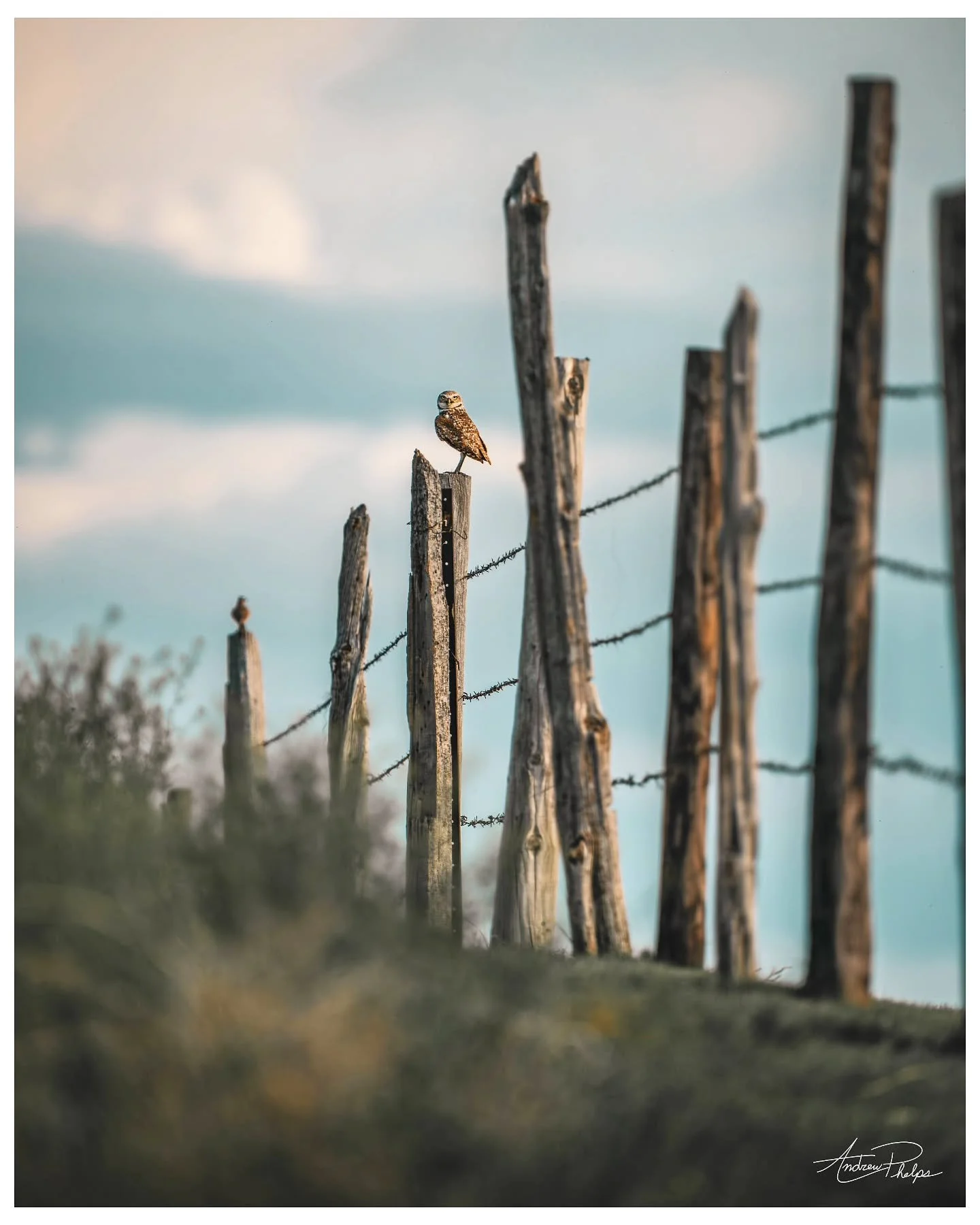 &ldquo;To me, photography is an art of observation. It&rsquo;s about finding something interesting in an ordinary place&hellip; I&rsquo;ve found it has little to do with the things you see and everything to do with the way you see them.&rdquo;
-Ellio