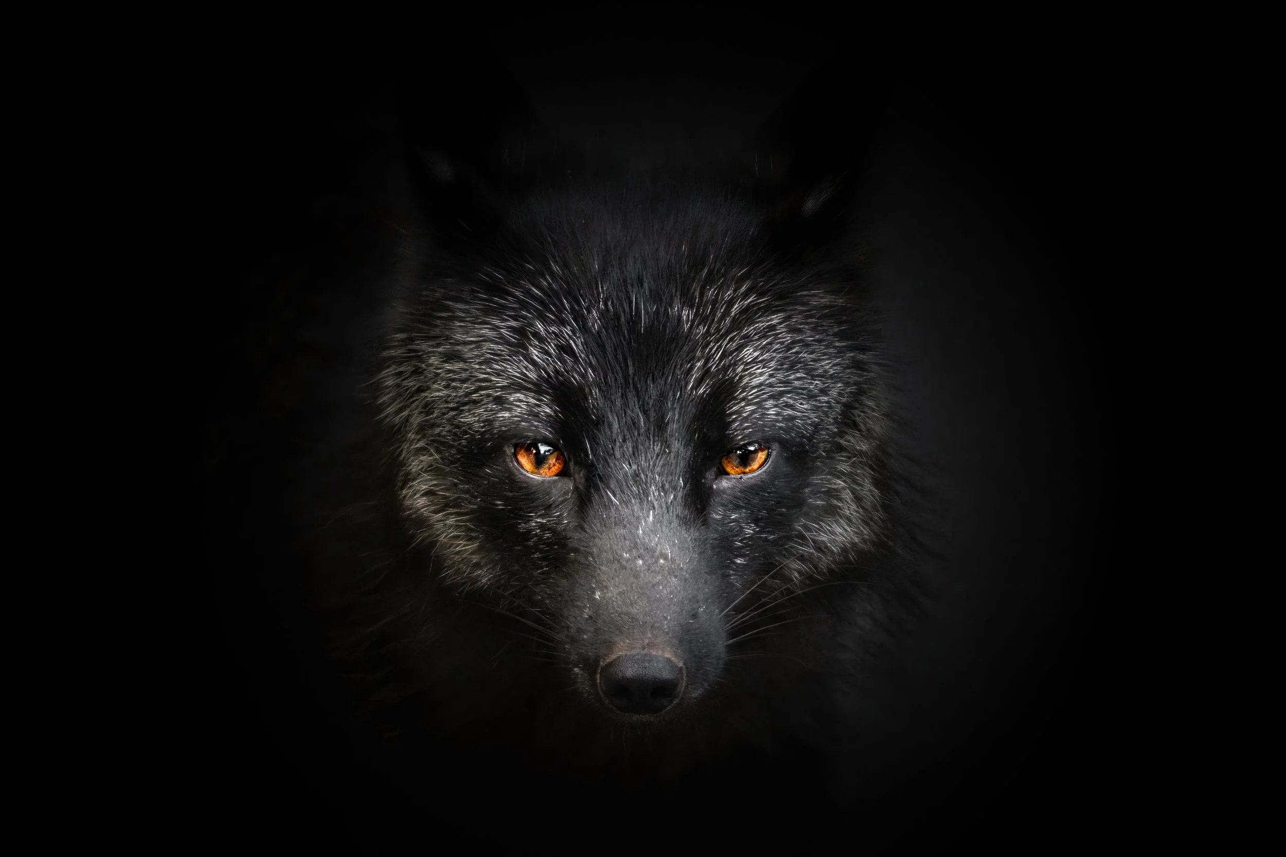 untitled-321-Edit-3.jpg