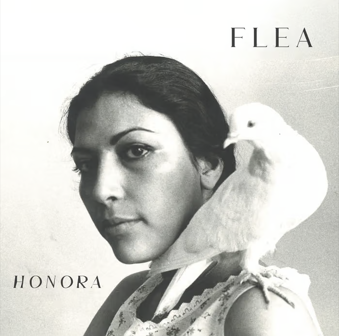 Flea -  honora  (upright bass)