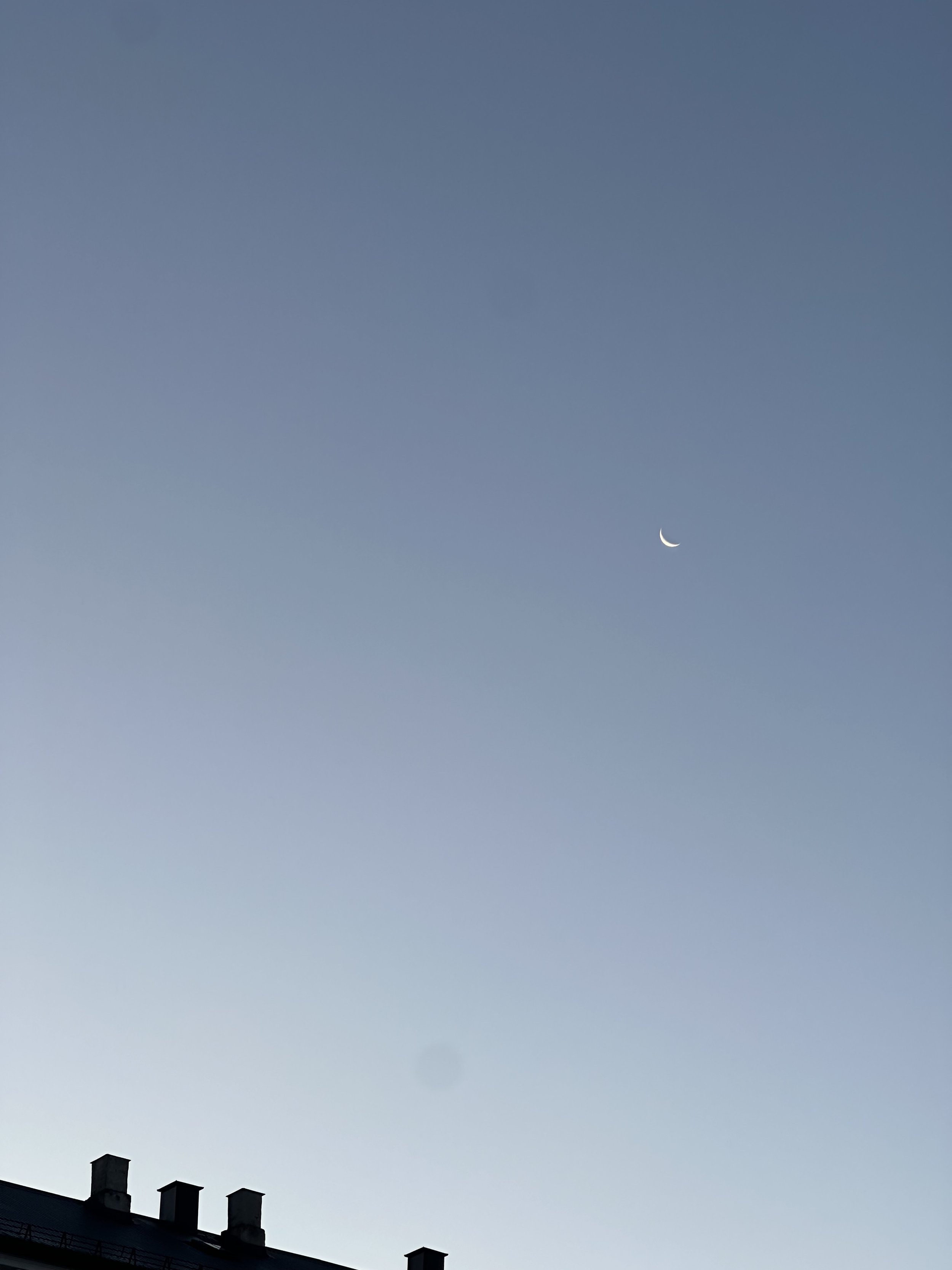 IMG_6939.jpeg
