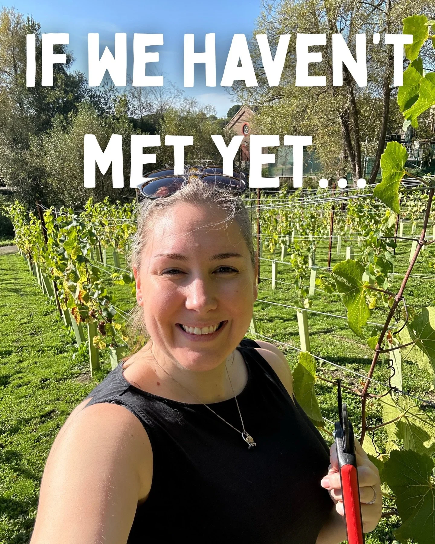 A little reintroduction&hellip; 💛 

And to get to know YOU better, what&rsquo;s your fav style of wine? I&rsquo;ll kick it off in the comments&hellip;