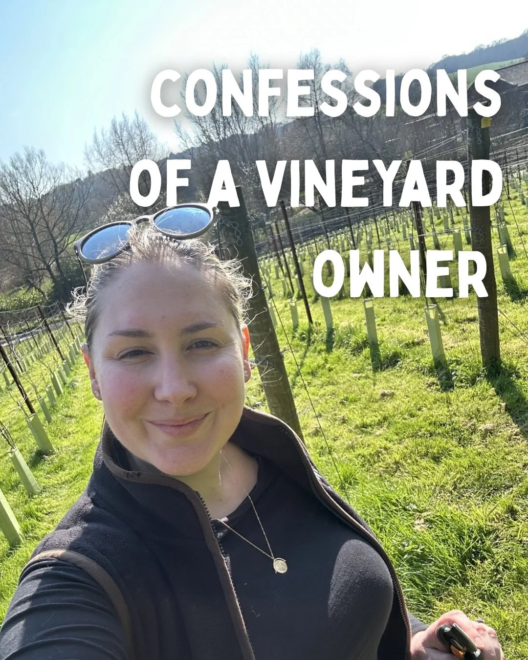 Owning a vineyard is a lot less romantic than it sounds 😅

What would you find hardest?