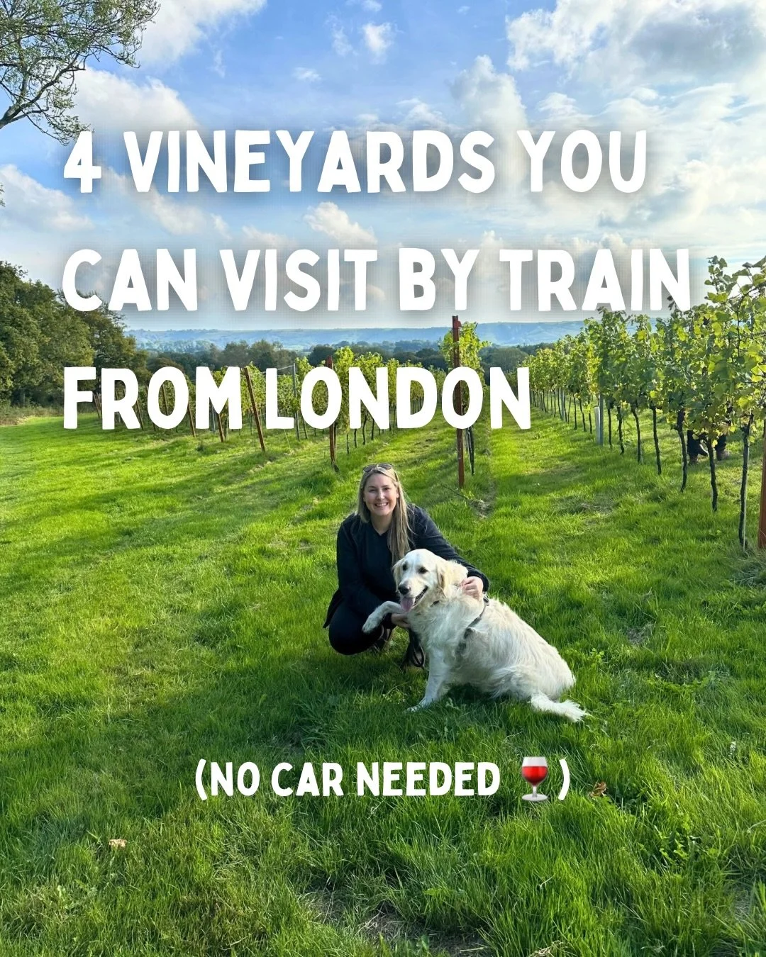 No car? No problem 🍷

4 English vineyards you can visit by train from London which is perfect for day trips, girls&rsquo; weekends &amp; wine without the designated driver.

I&rsquo;ve done all of these and they&rsquo;re 100% worth it 💛

Want the f