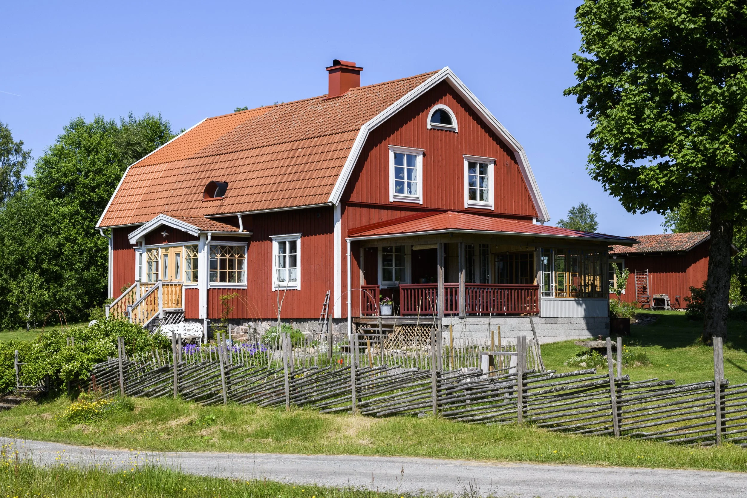 Ladanskuriosa_RMF8742.jpg