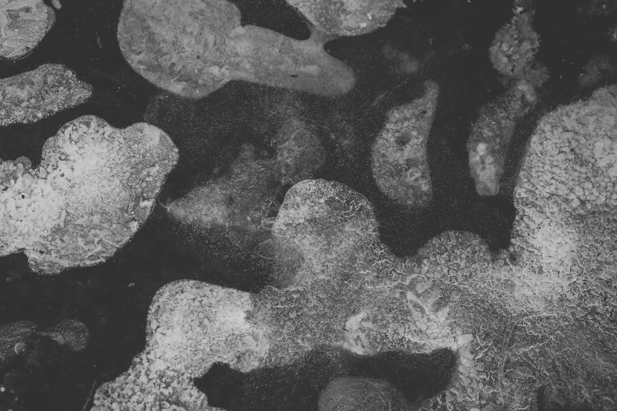 Närbild av is eller frost på en mörk yta.