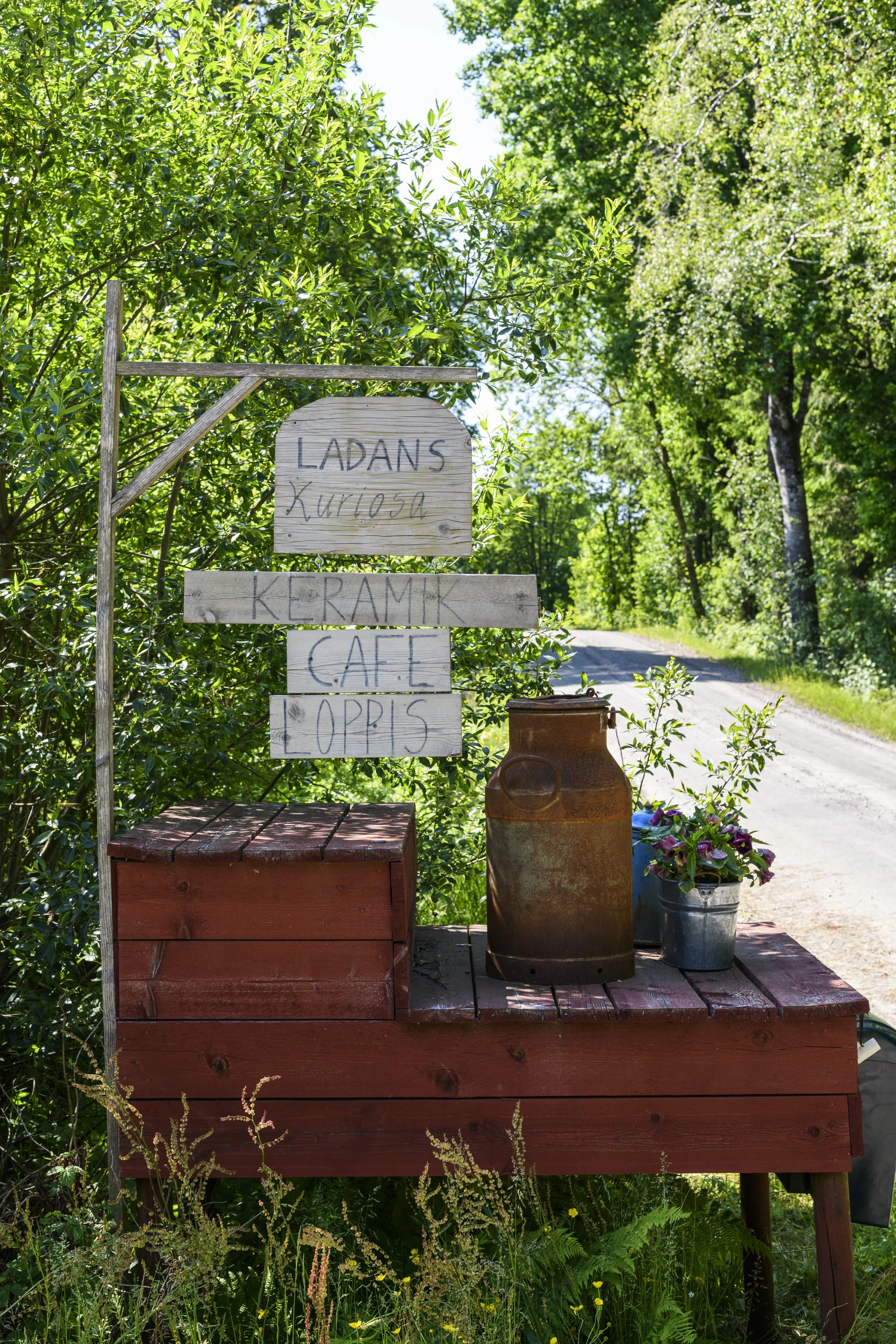 Ladanskuriosa_RMF8765.jpg