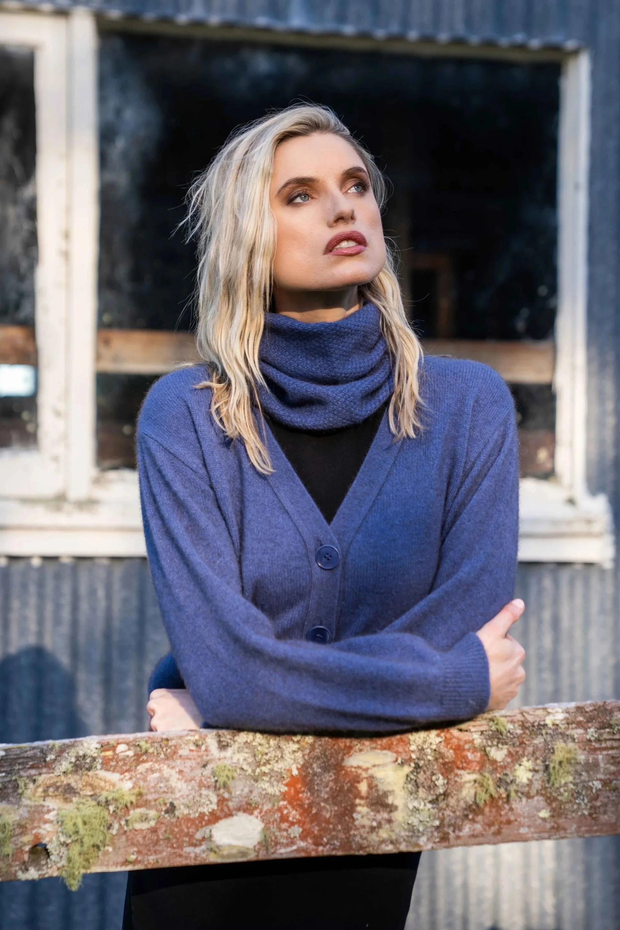 KO1037-Periwinkle_1.jpg