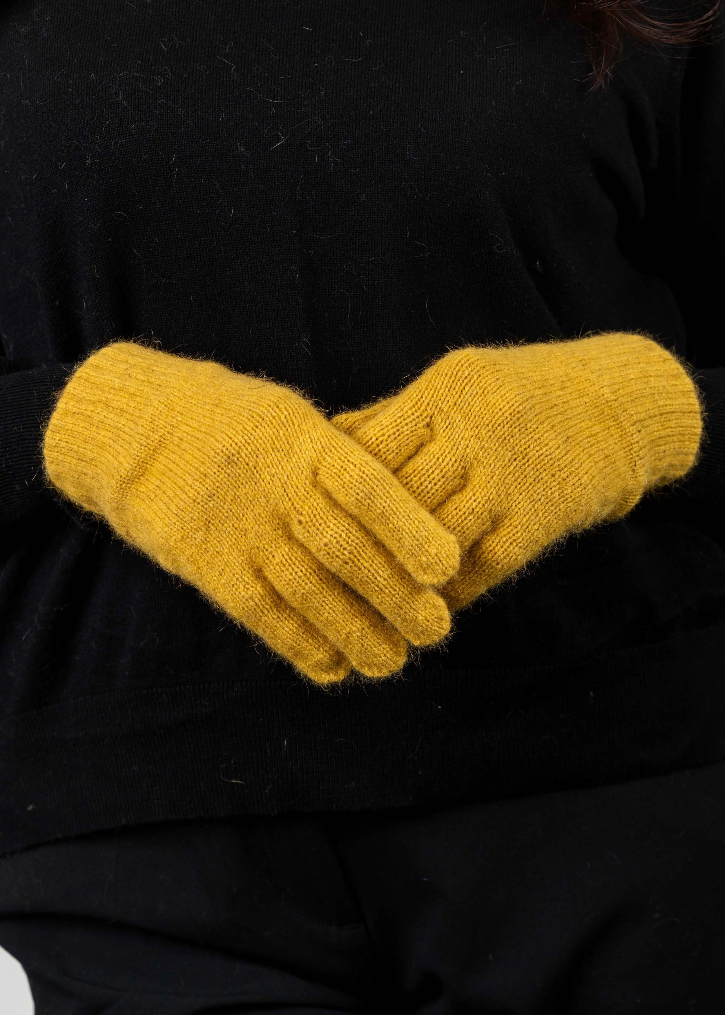 KO48-Kowhai.jpg