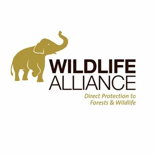 Wildlife Alliance logo with an illustration of an elephant and text reading 'Wildlife Alliance' and 'Direct Protection to Forests & Wildlife'.