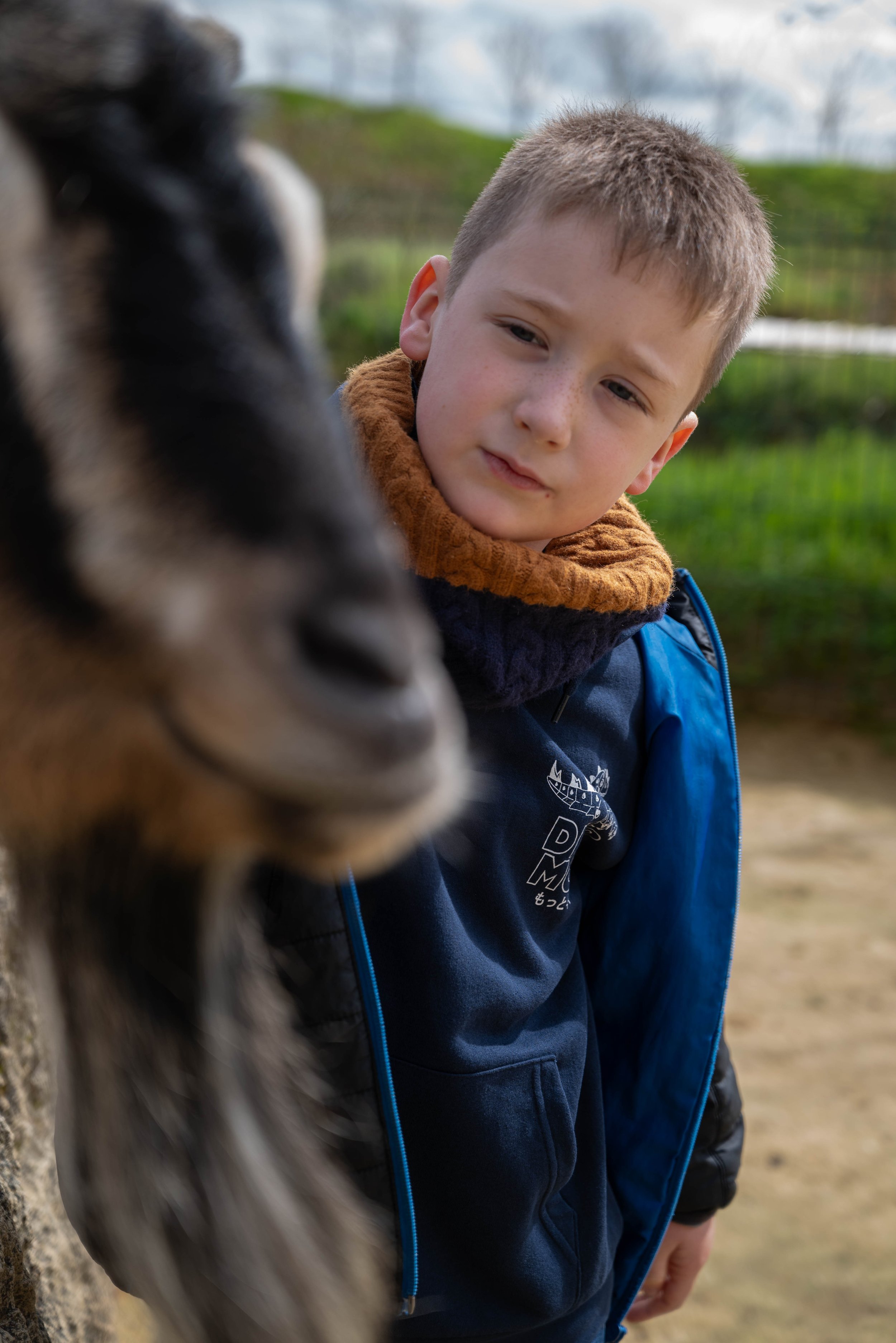 reportage famille au zoo