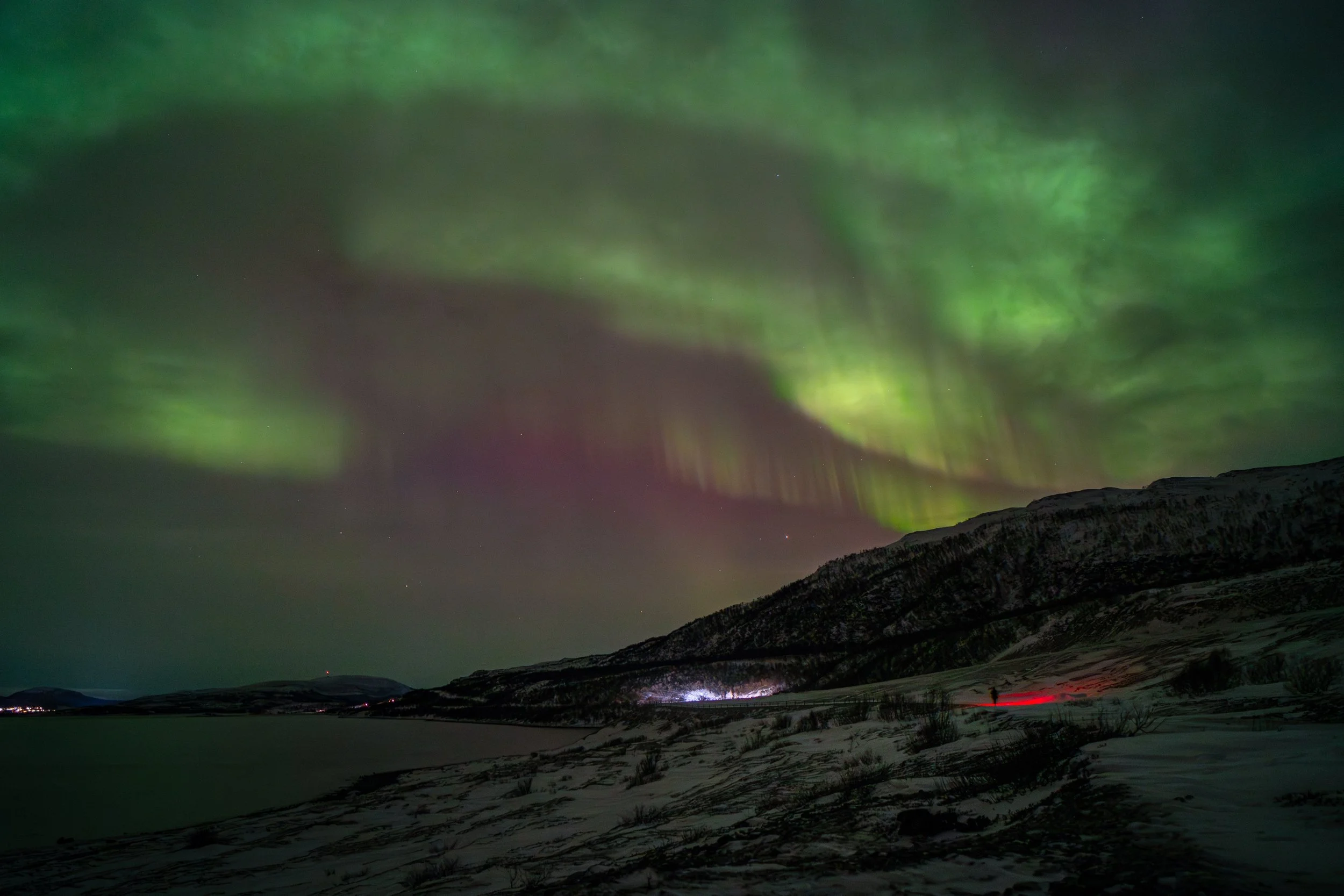 Nordlichter nähe Olderfjord, Norwegen | Robert Ruckhofer | 20.01.2026