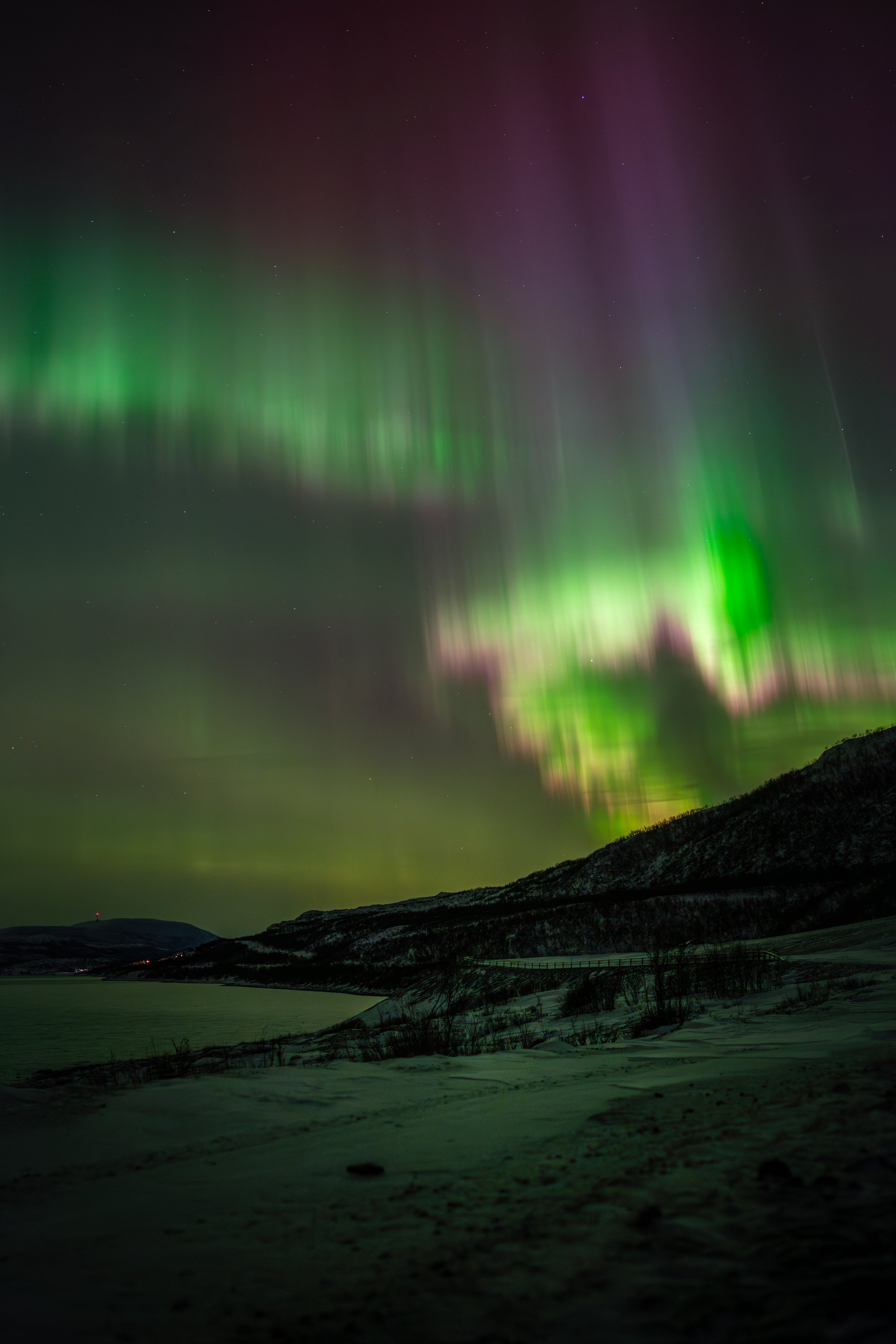 Nordlichter nähe Olderfjord, Norwegen | Robert Ruckhofer | 20.01.2026