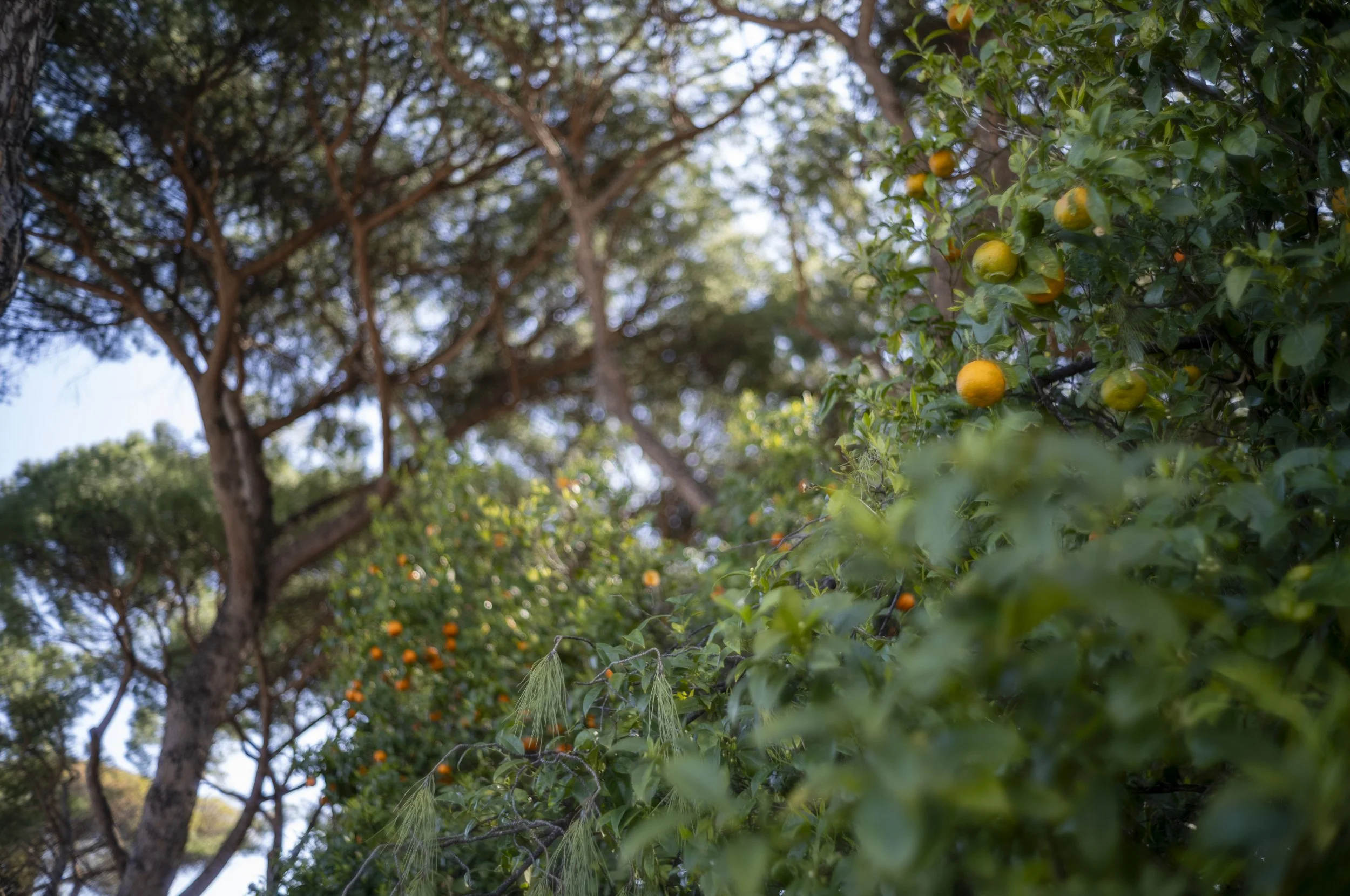 Rom 3-26 © Goetz Schleser-284.jpg