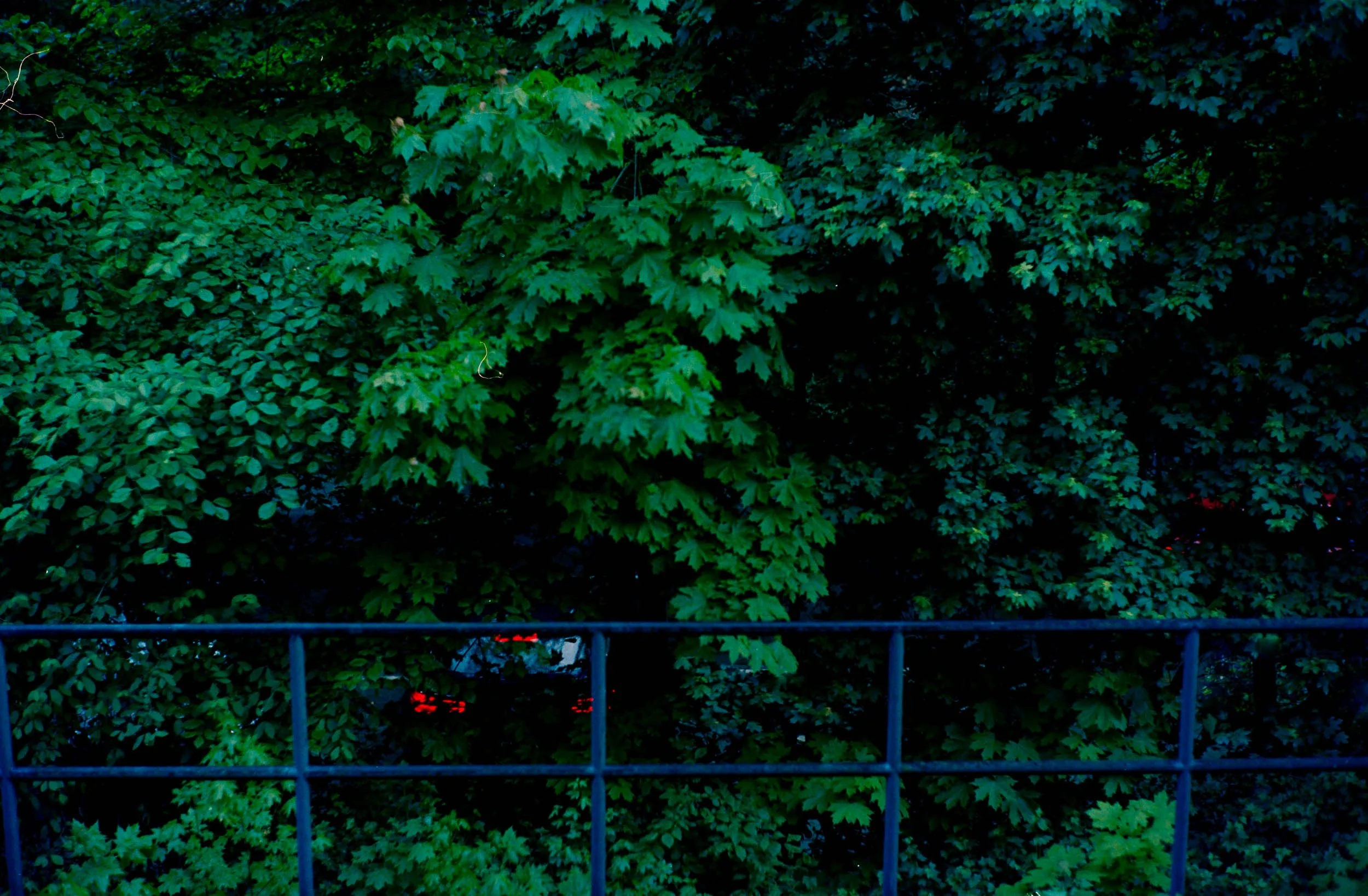 rieth analog © Goetz Schleser-37.jpg