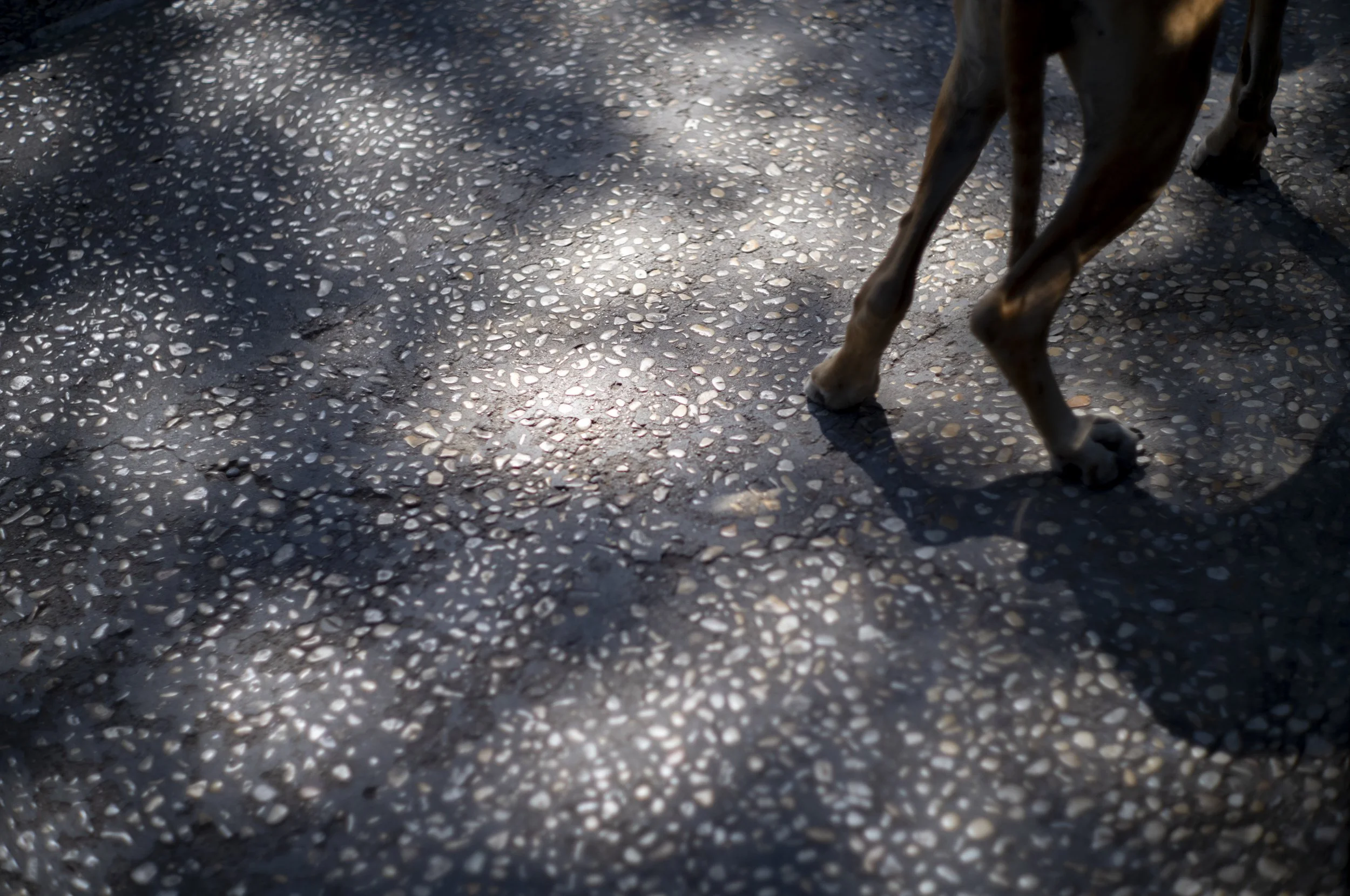 Rom 3-26 © Goetz Schleser-553.jpg