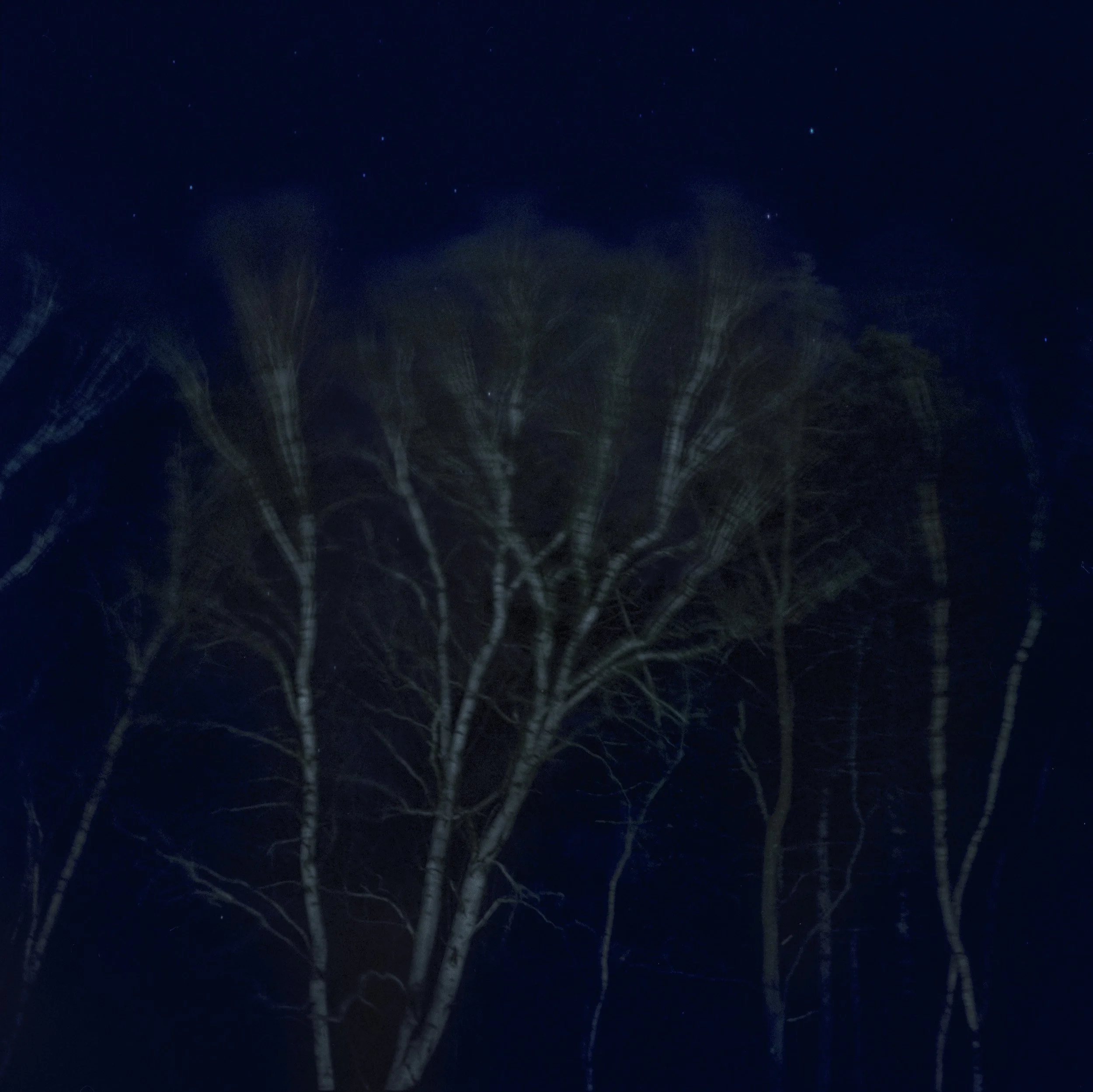 FP Portraits-10-Bearbeitet.jpg