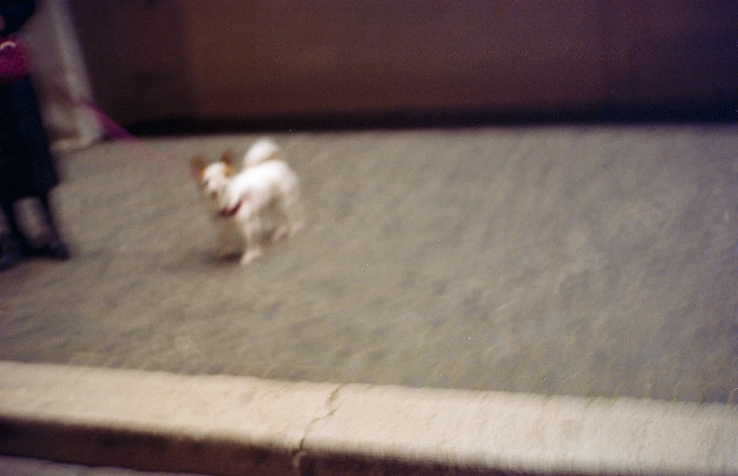 Rom analog 26-03 © Goetz Schleser-107.jpg