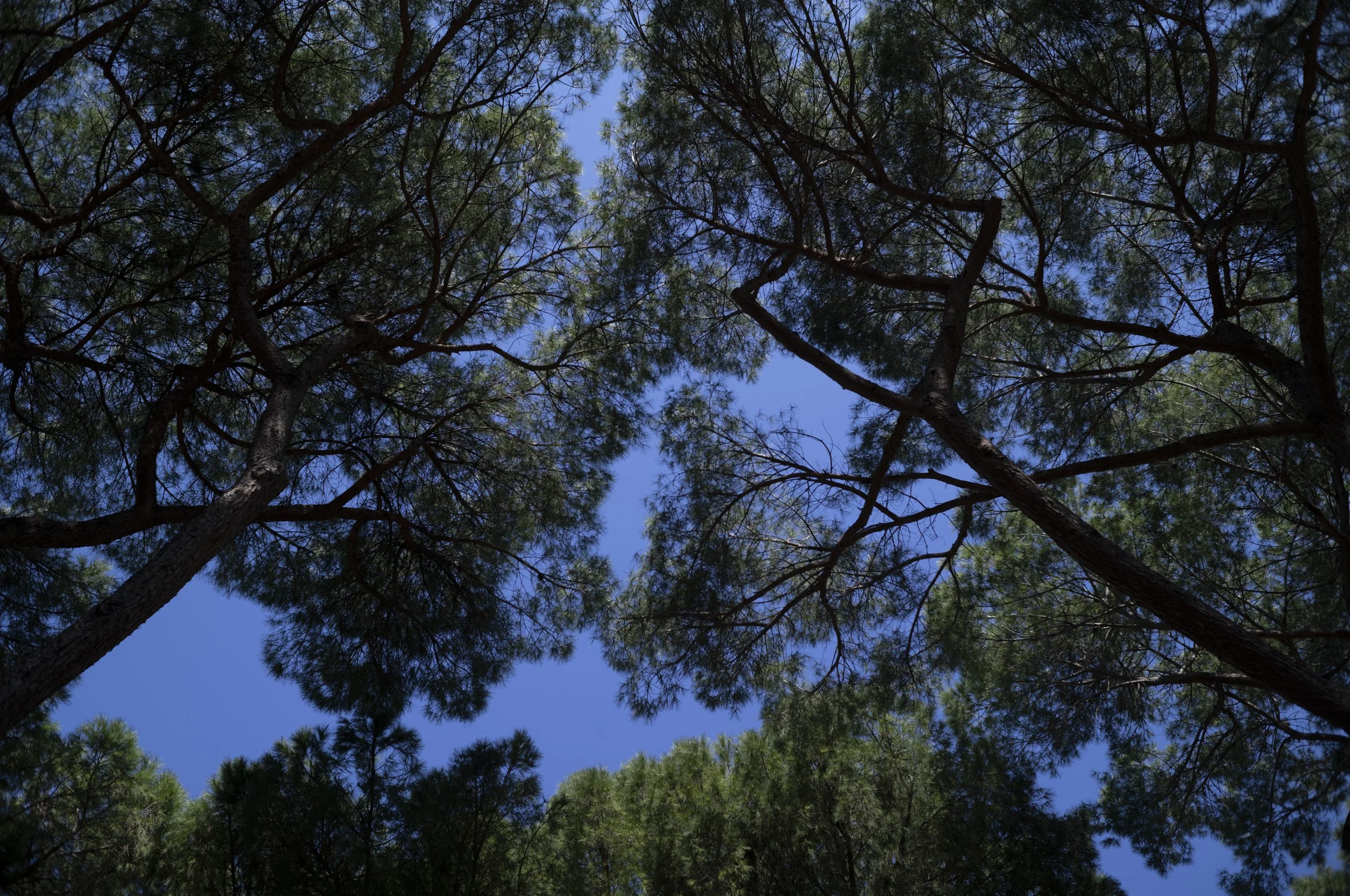 Rom 3-26 © Goetz Schleser-256.jpg