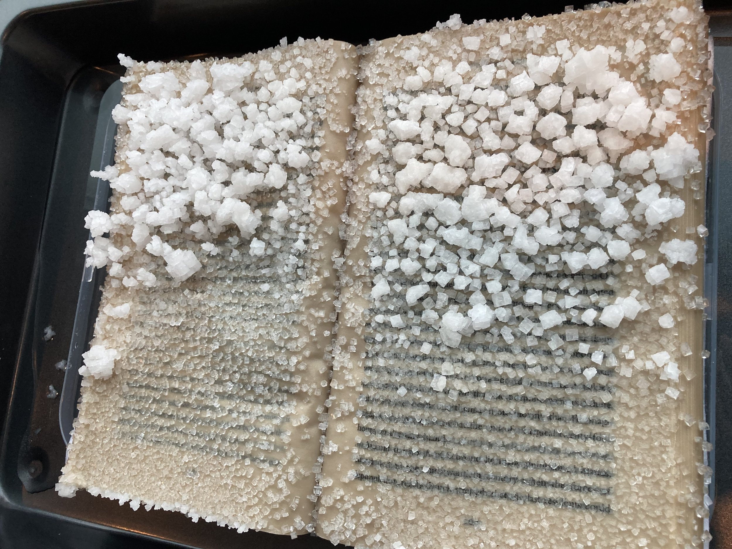 salt detail.jpg
