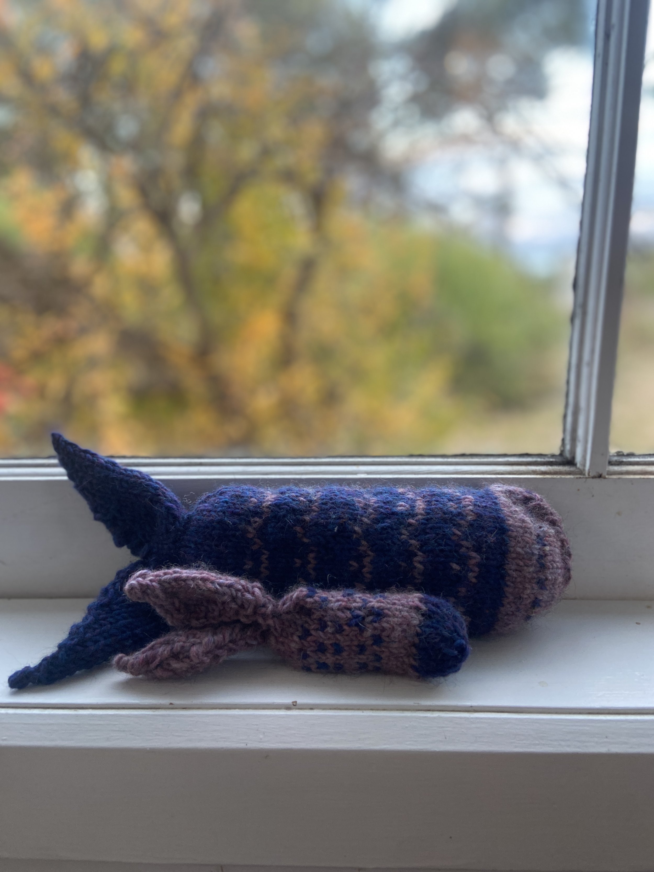 Friday Fishies