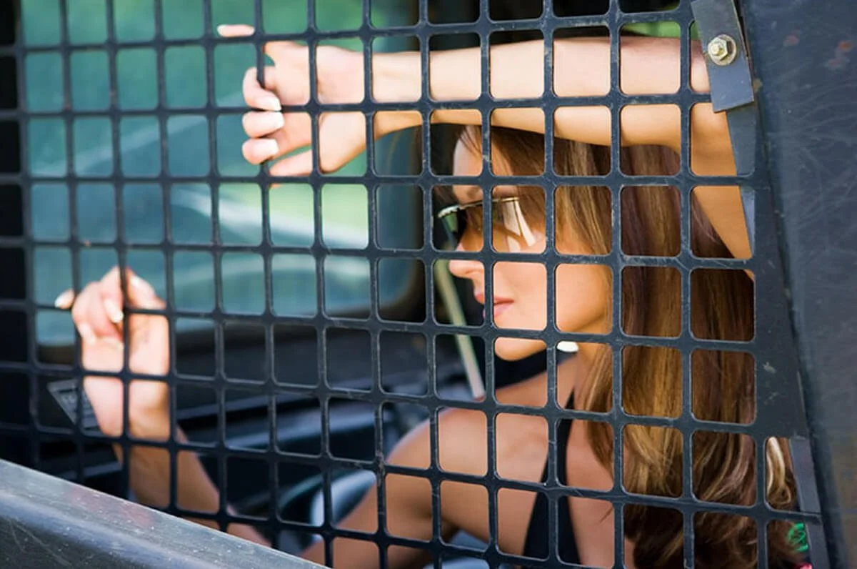 Contrasting beauty on construction site