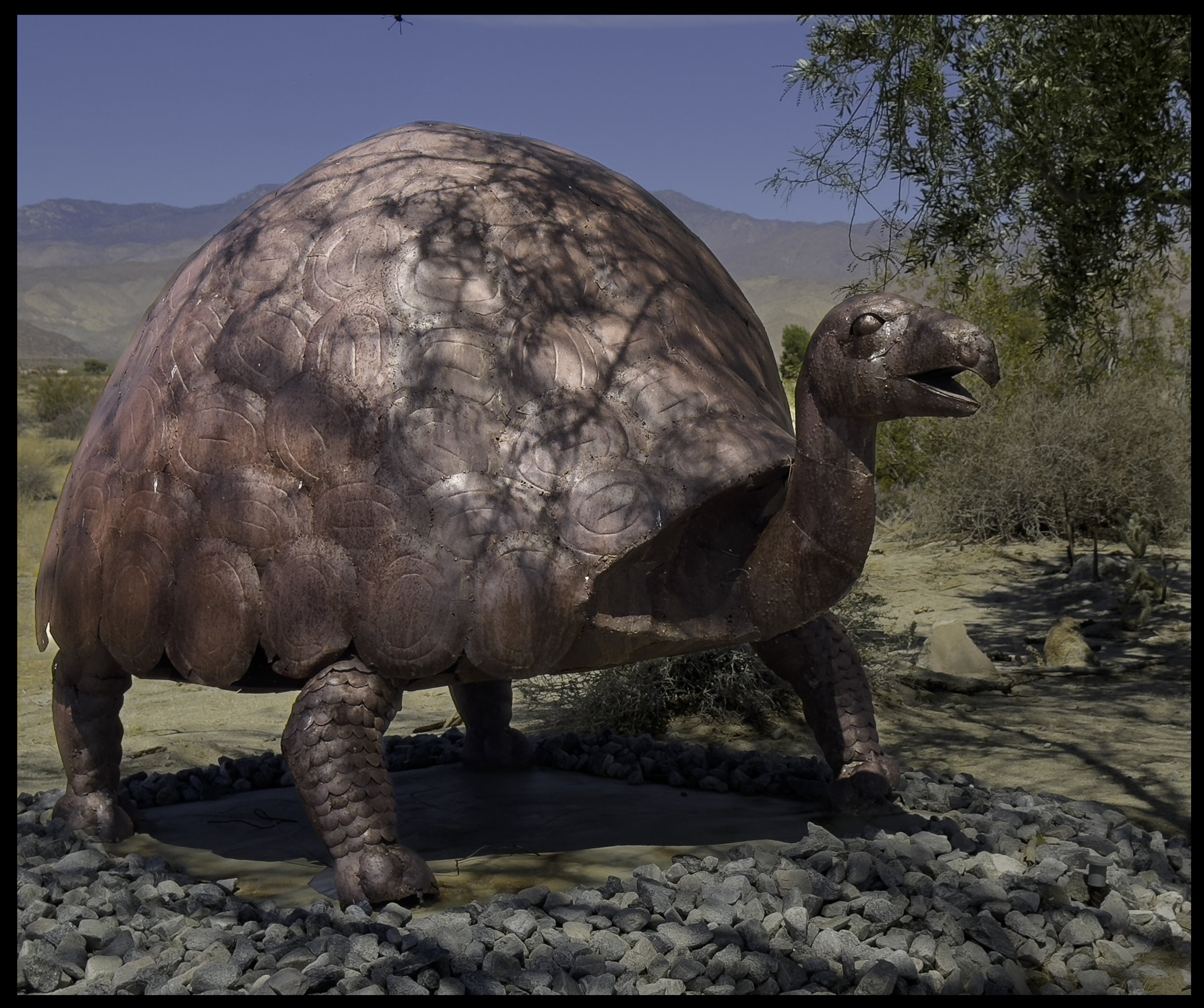 Desert Tortoise Sculpture