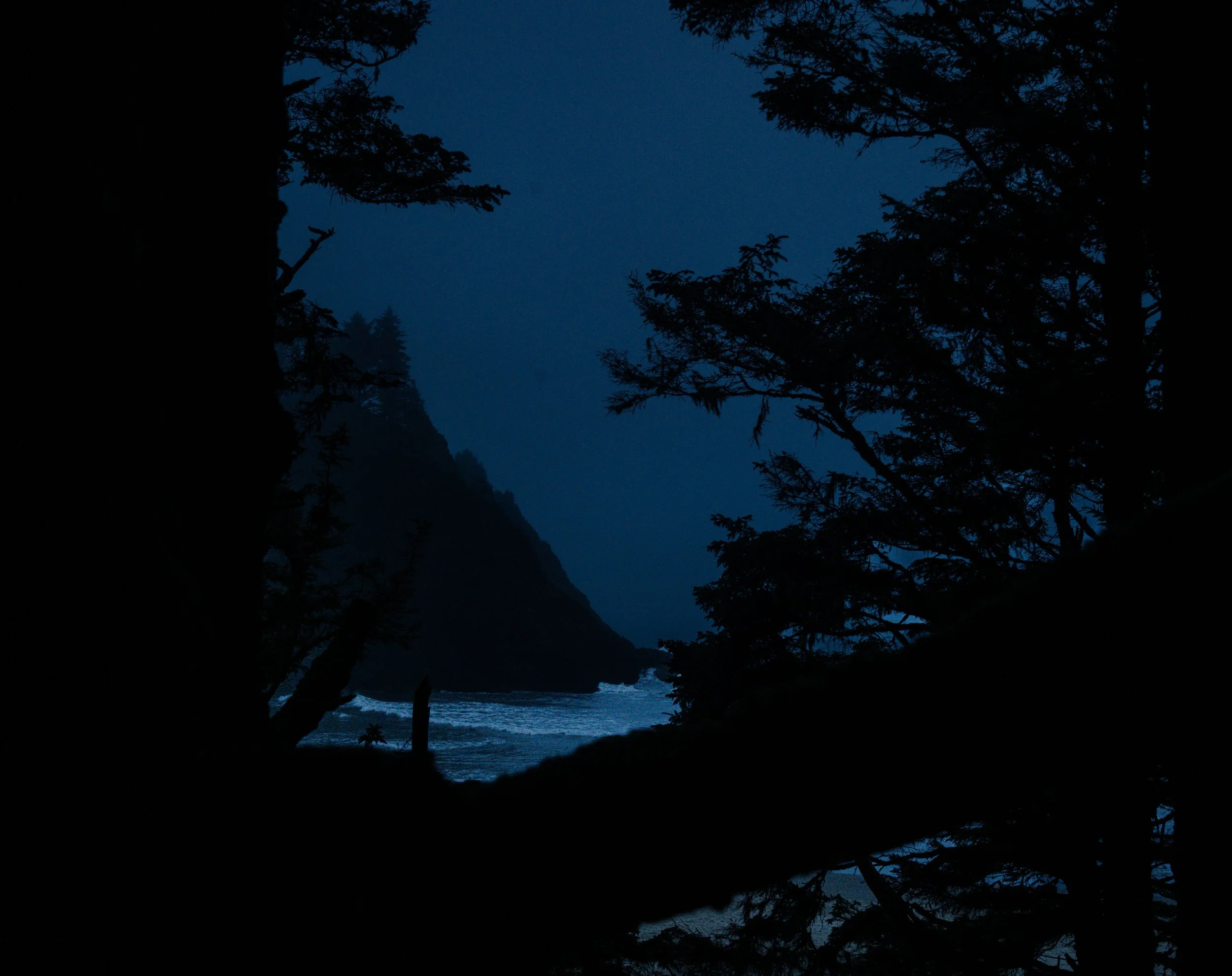 Where the pines stand guard in shadow, the ocean pounds out silver tones. Night gathering at the cliff’s edge, the world descends into secret wonder.