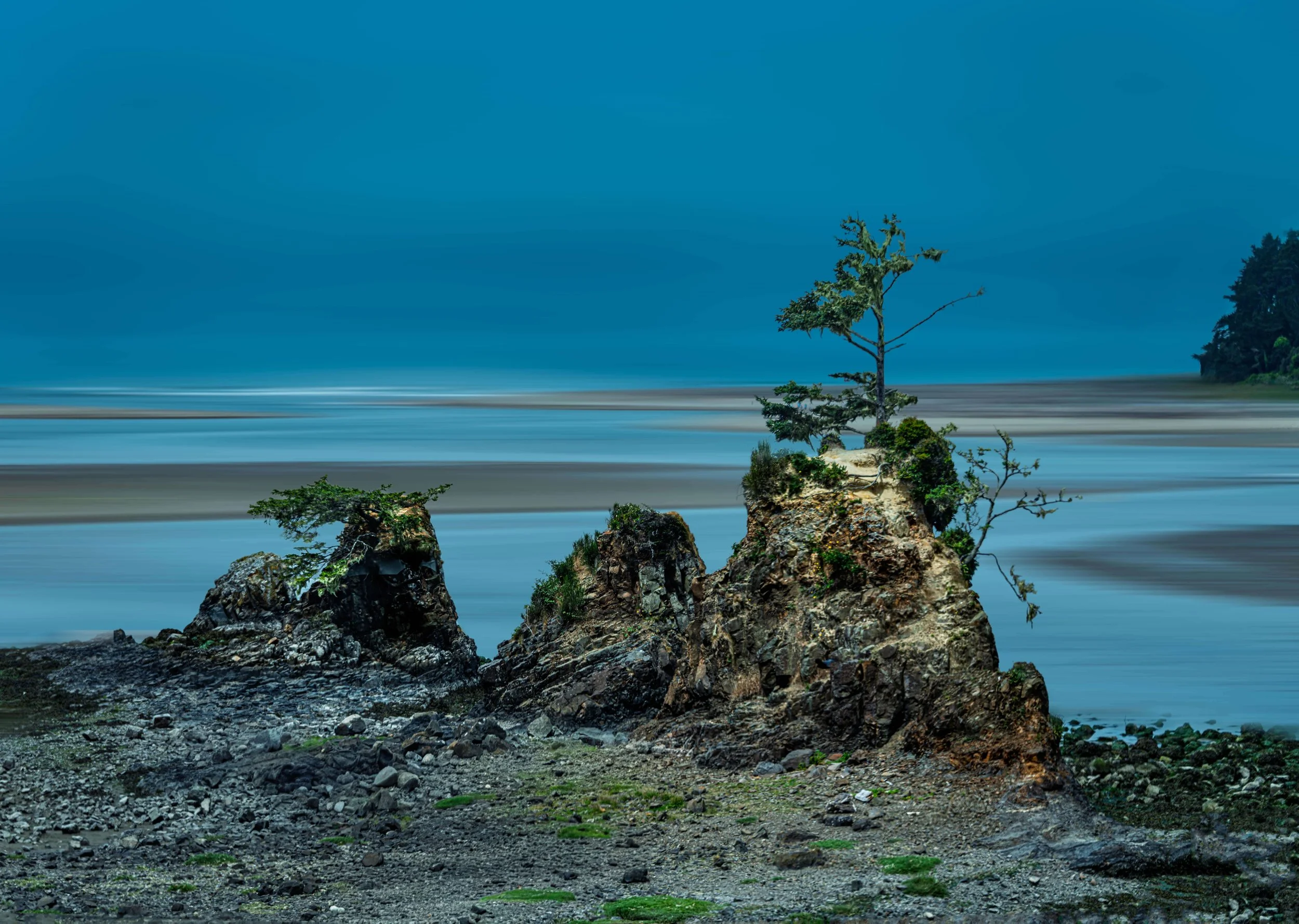 Pebbles whisper under wandering tides, Three quiet sentinels rise from the shore. Roots cling to stone where the sea breathes slow amidst a stillness that remembers more than it tells.