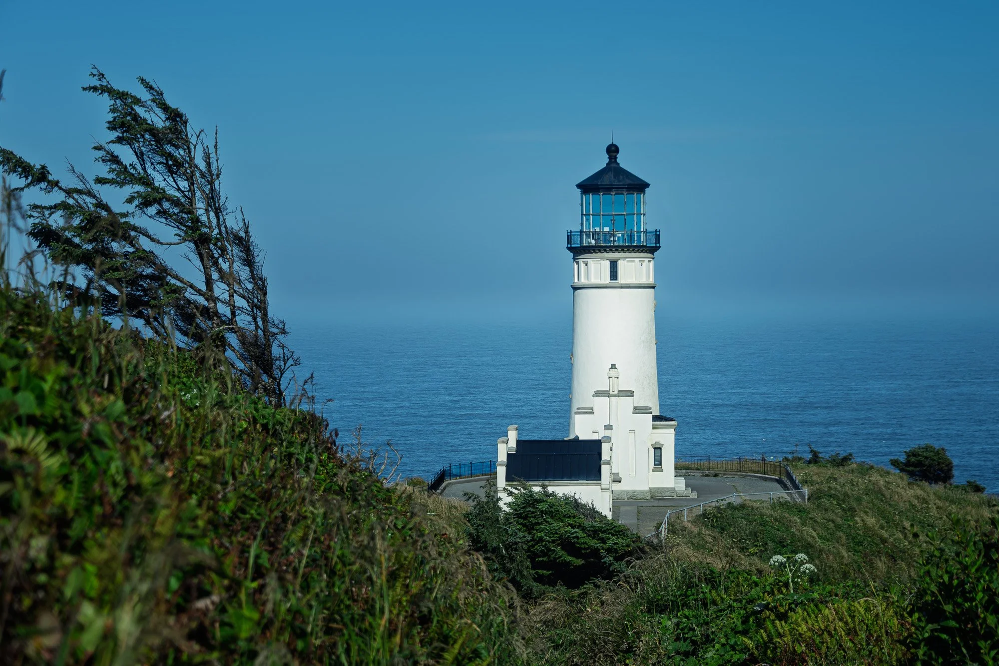 A lone white sentinel Against the endless blue, Where wind-swept trees whisper And the deep sea pulls us to explore.
Cape Blanco