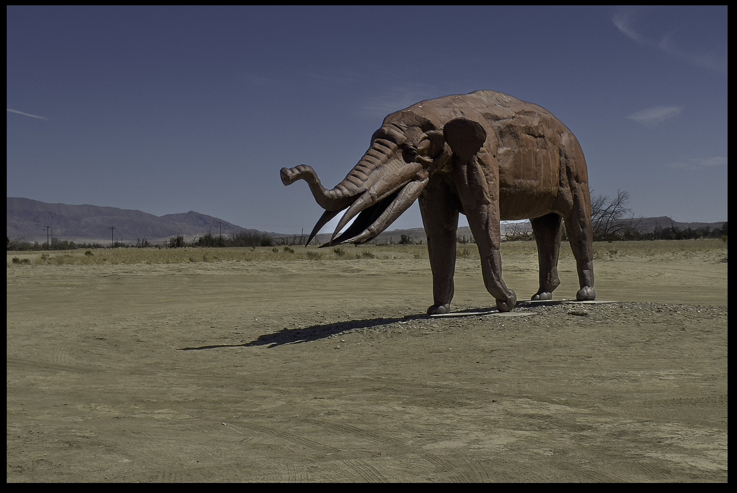 Elephant in the desert Sculpture