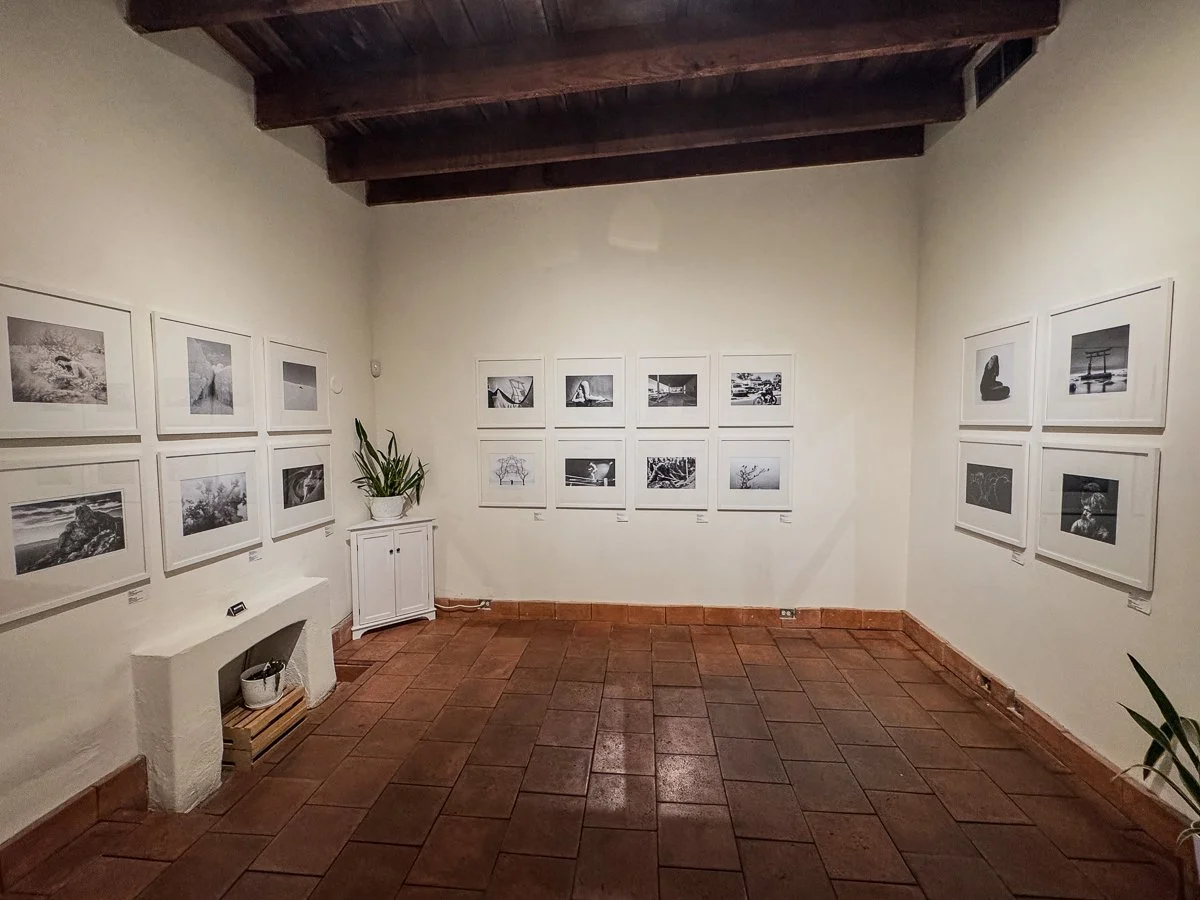 Full exhibition room view, Tucson, Arizona.