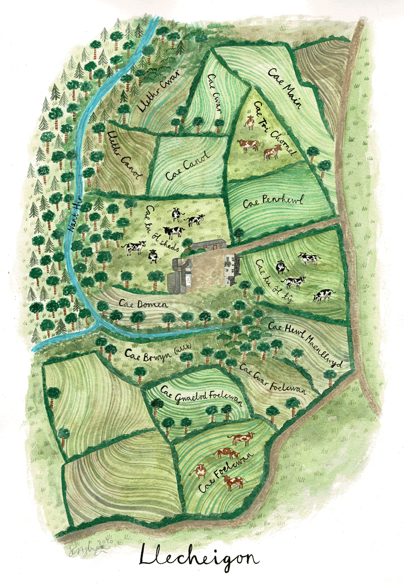 Farm-Map-Llecheigon.gif