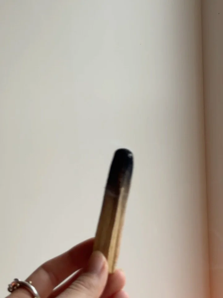 Day 10: The Energy Reset Ritual (with Palo Santo)🪵

Invite in good energy with the smoke from burning Palo Santo. A naturally calm scent and a gentle tool for transitions - before meditation, after work, when you need a shift in energy. 

It also cr
